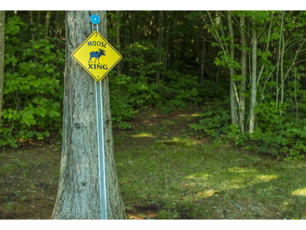 529 Milan Hill Road Milan, NH 03588 - Photo 21 of 24