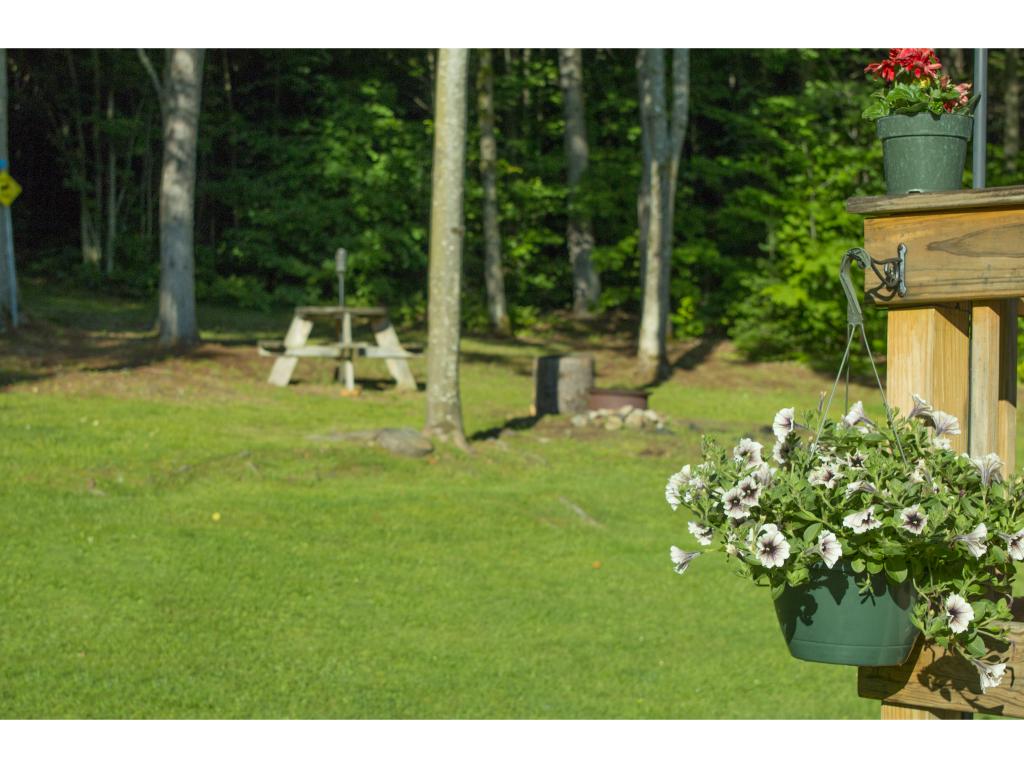 529 Milan Hill Road Milan, NH 03588 - Photo 22 of 24