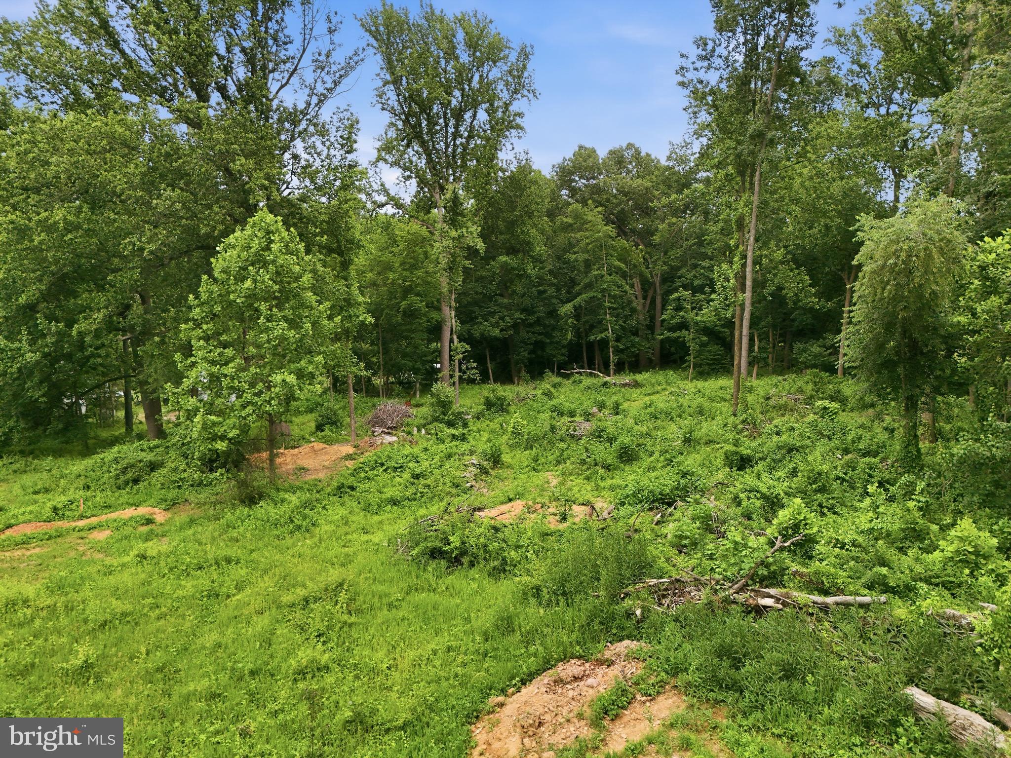2617 Manchester Road, Unit LOT 6 Westminster, MD 21157 - Photo 8 of 21