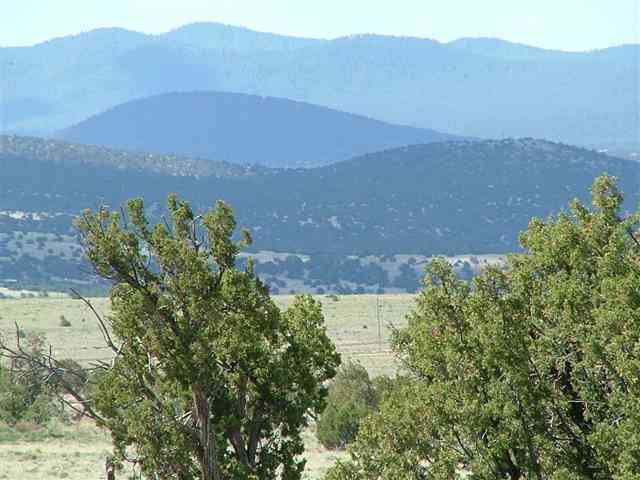 Lot 3 Montanas Vista Ranch Concho, AZ 85924 - Photo 1 of 5 a view of a lake in middle of the forest