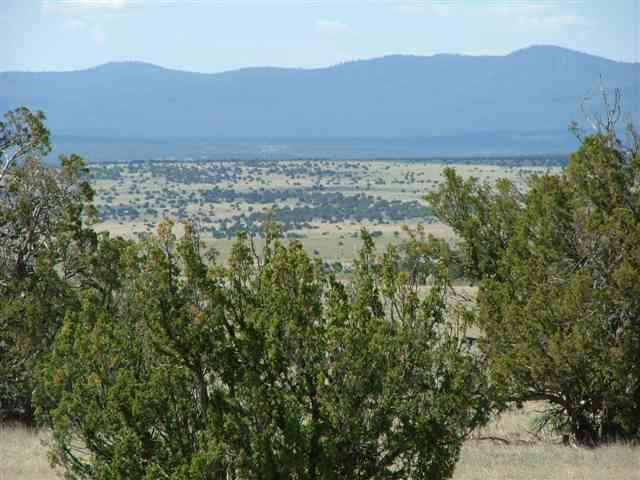 Lot 3 Montanas Vista Ranch Concho, AZ 85924 - Photo 2 of 5 a view of an outdoor space with mountain view