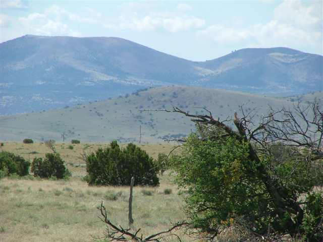 Lot 3 Montanas Vista Ranch Concho, AZ 85924 - Photo 5 of 5 a view of a mountain in the distance