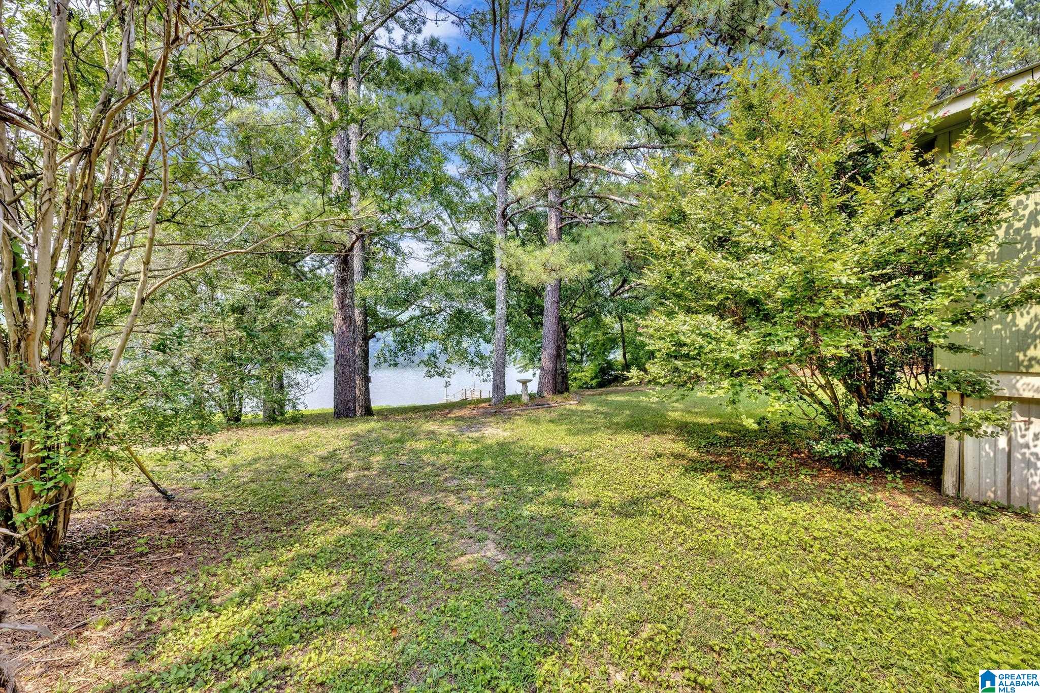 144 Teddy Road Oneonta, AL 35121 - Photo 6 of 52