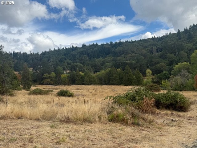 1604 Spring Brook Road Myrtle Creek, OR 97457 - Photo 37 of 43 Pasture
