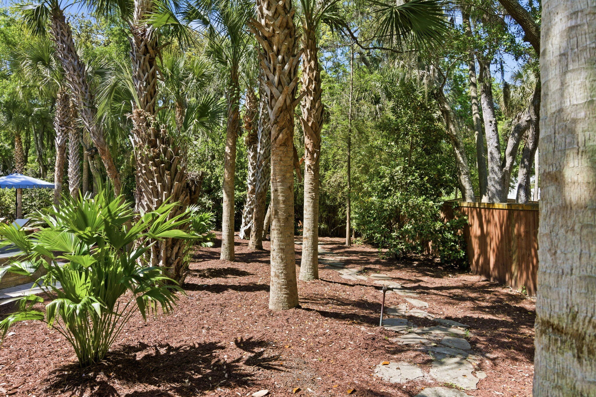 103 Oakview Lane Isle of Palms, SC 29451 - Photo 78 of 98 78-web-or-mls-NCP09664