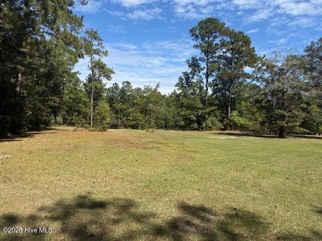 1067 River Road Tabor City, NC 28463 - Photo 5 of 9 IMG_3727