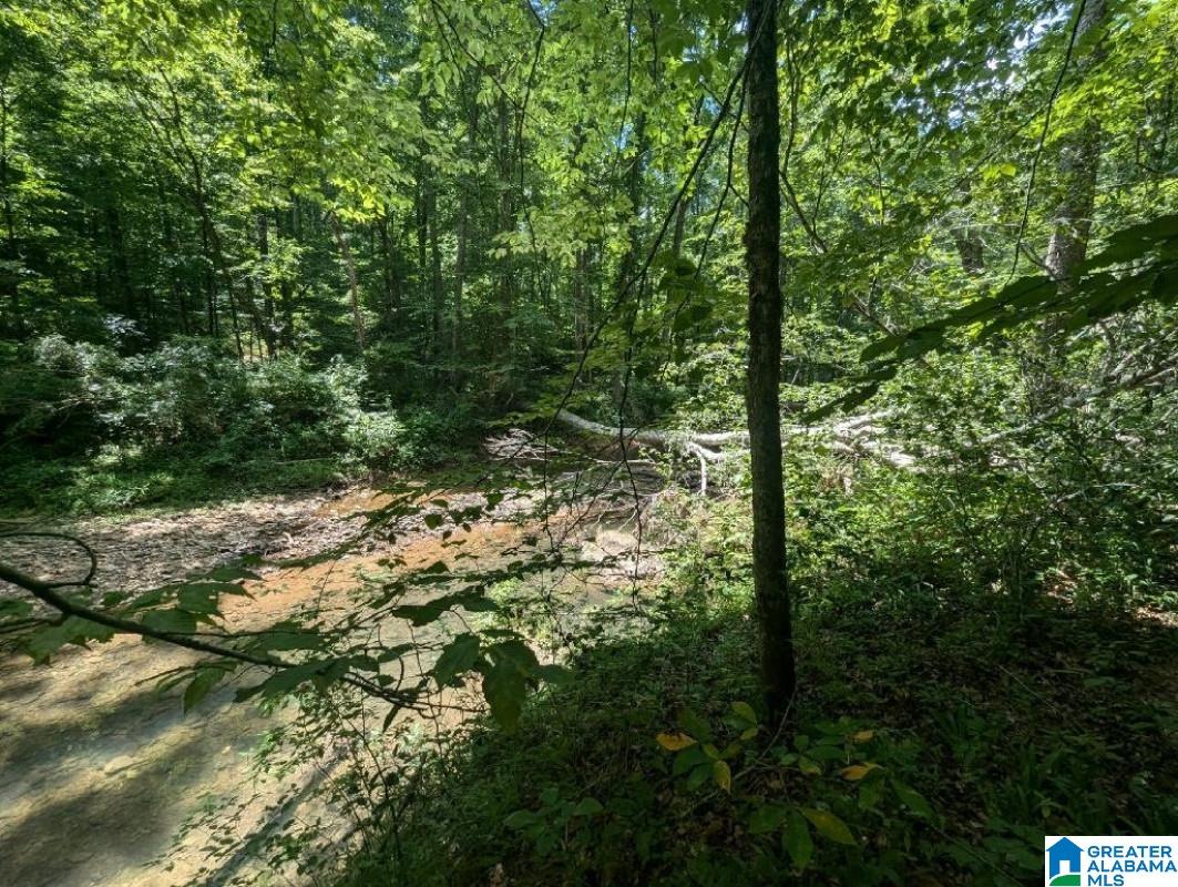 0 Blocker Road Eva, AL 35621 - Photo 4 of 6