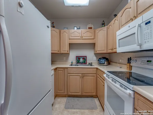 $15,000 | 1 Towers Park Lane, Unit 1503, San Antonio, TX 78209