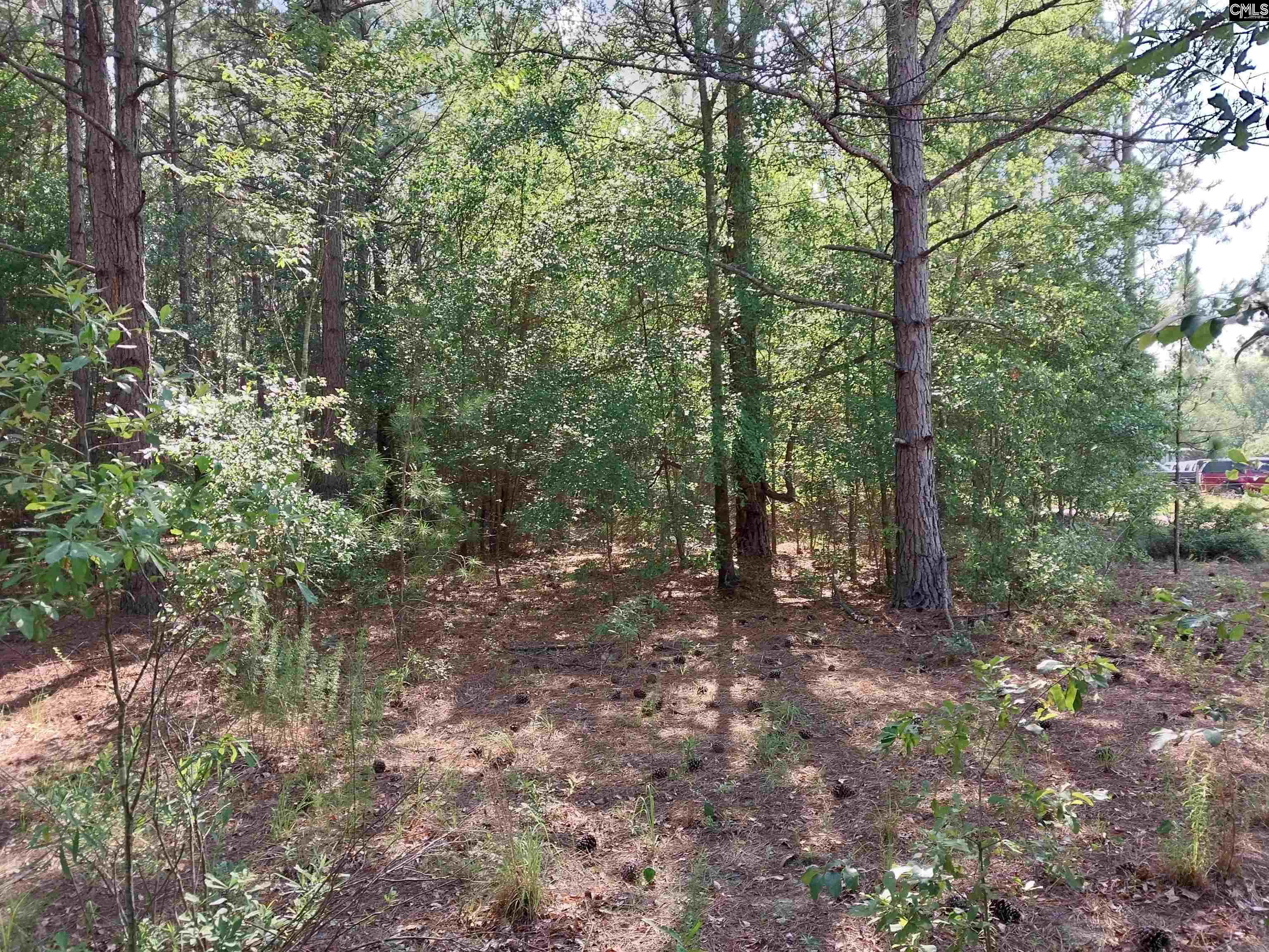 408 Sells Court Pelion, SC 29123 - Photo 6 of 6