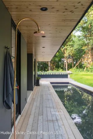 a view of a forest with trees