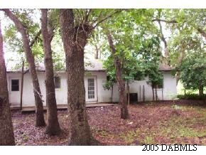 1418 Mango Tree Drive Edgewater, FL 32132 - Photo 4 of 6 Additional Photo