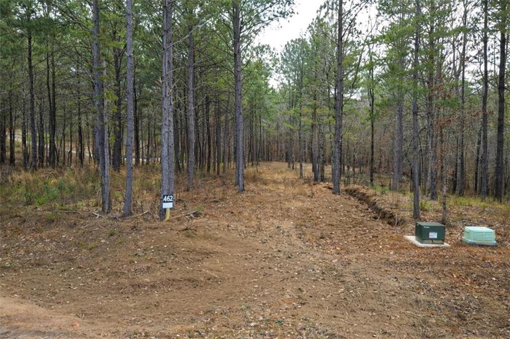 2834 Twisted Oak Road Talking Rock, GA 30175 - Photo 4 of 7