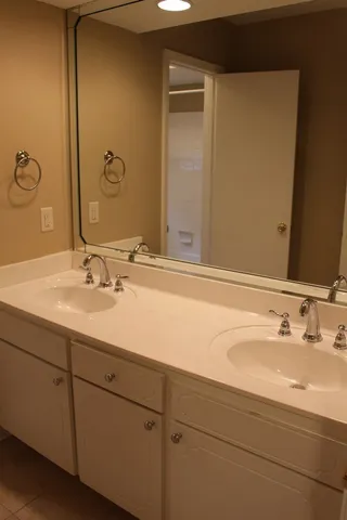a bathroom with a sink and a mirror