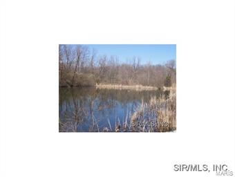 8250 Renken Road Worden, IL 62097 - Photo 1 of 1
