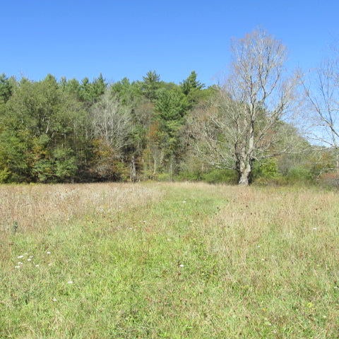Frost Road Dunmore, WV 24934 - Photo 9 of 14 Gallery Image 9