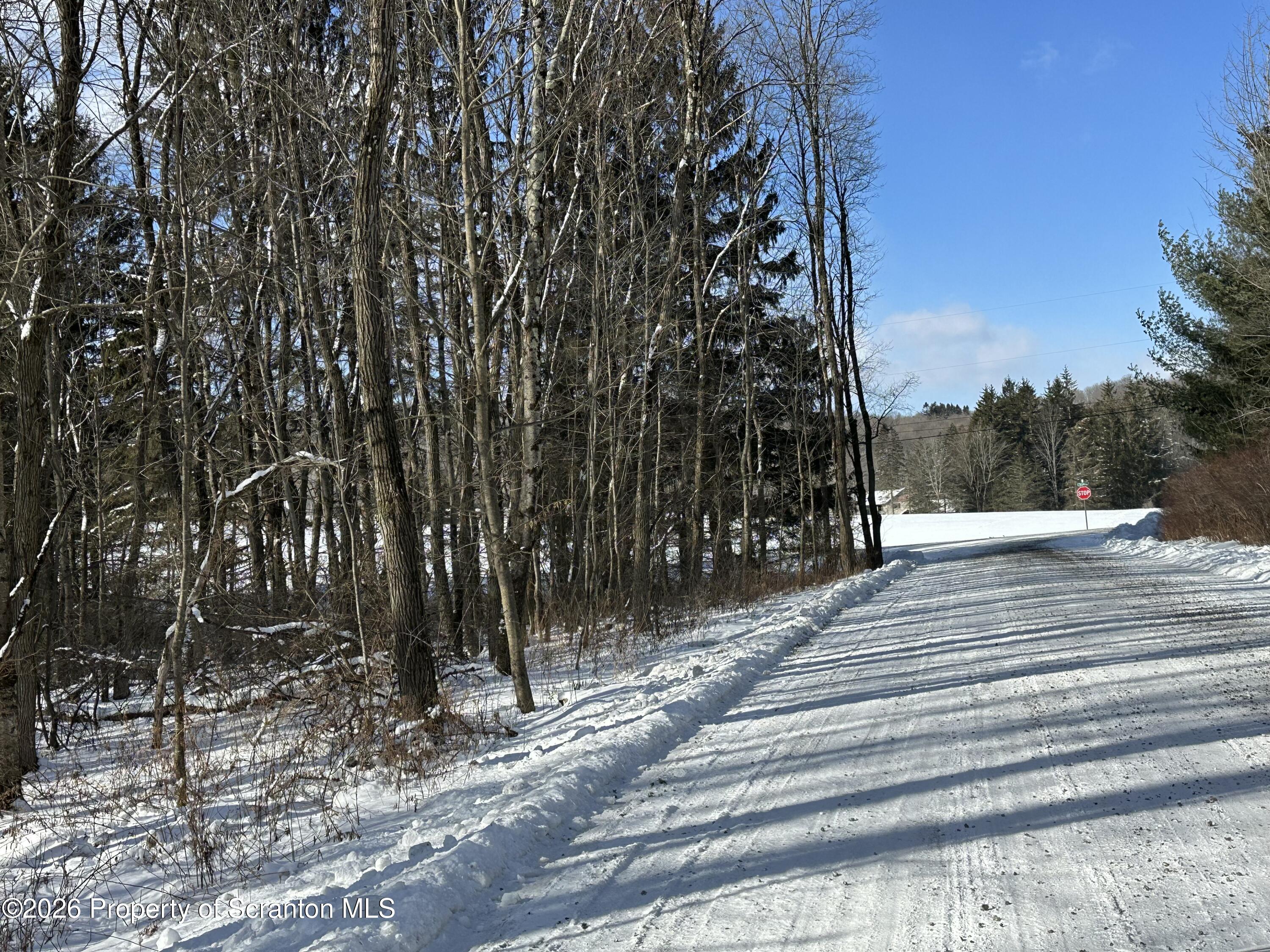 Pleasant Rd Union Dale Union Dale, PA 18470 - Photo 5 of 6 Pleasant Way