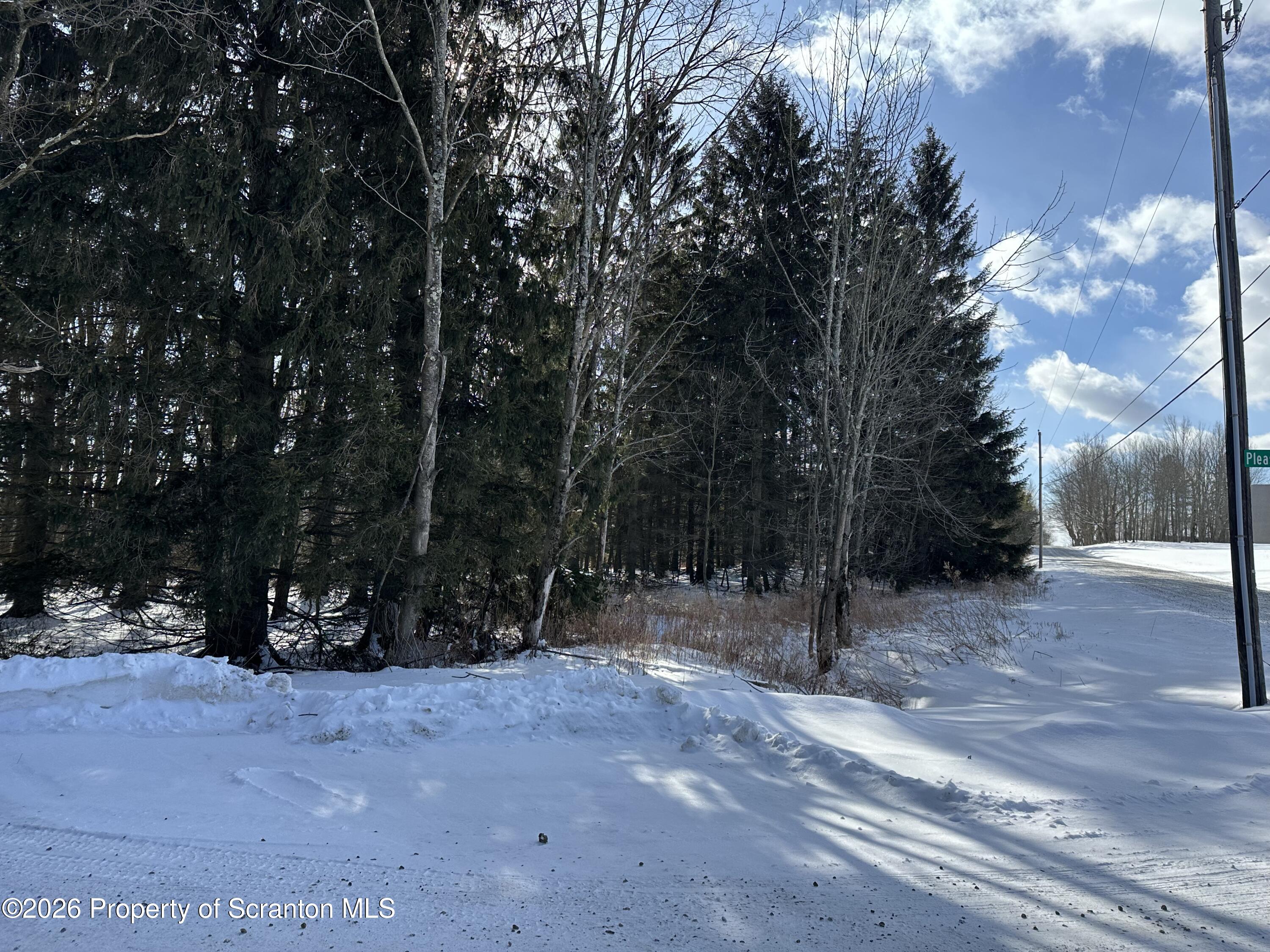 Pleasant Rd Union Dale Union Dale, PA 18470 - Photo 6 of 6 2