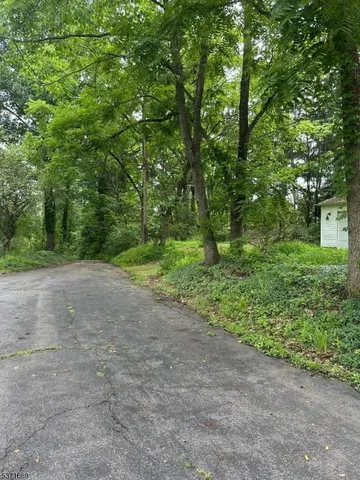 a view of a field with plants and trees