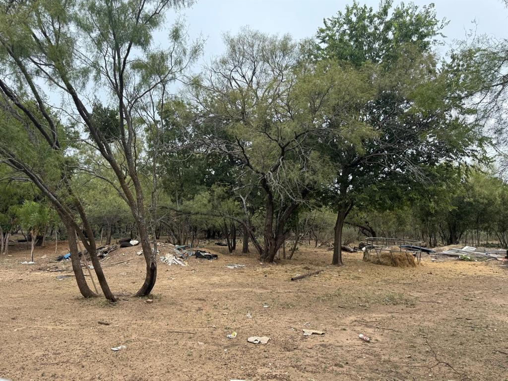 900 North Tiffin Road Ranger, TX 76470 - Photo 11 of 33 a view of outdoor space with trees