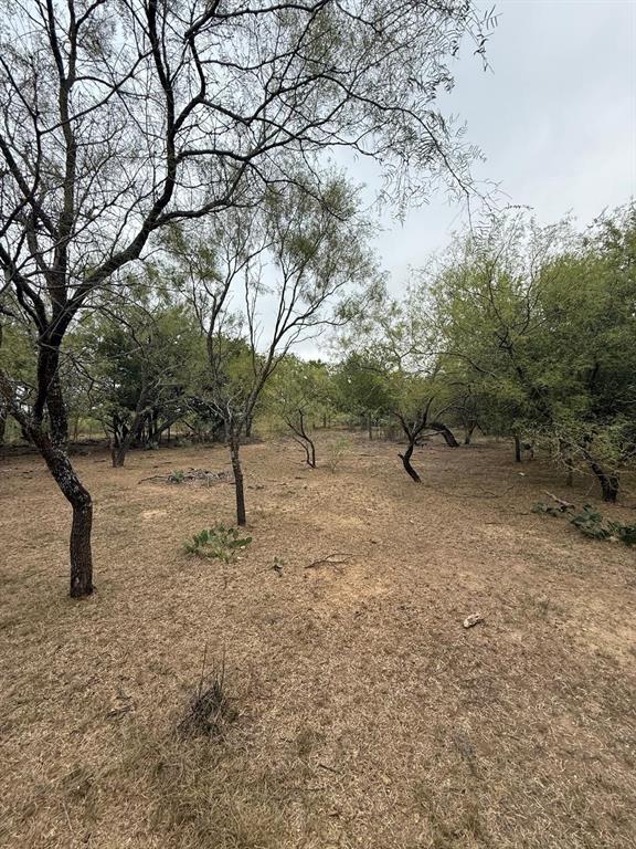 900 North Tiffin Road Ranger, TX 76470 - Photo 32 of 33 a view of some trees in the forest