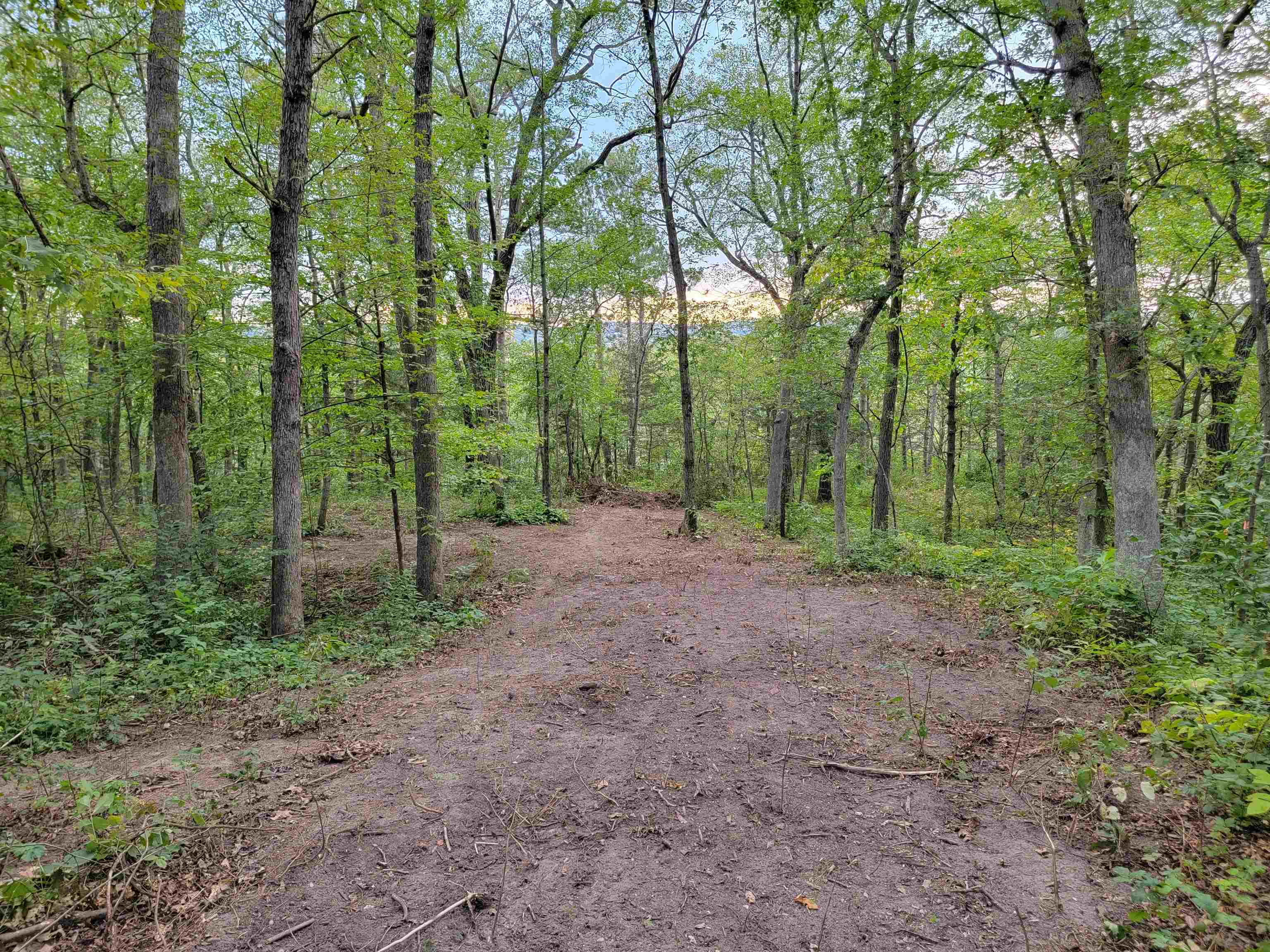 L9 St Lawrence Bluff Poynette, WI 53955 - Photo 11 of 37