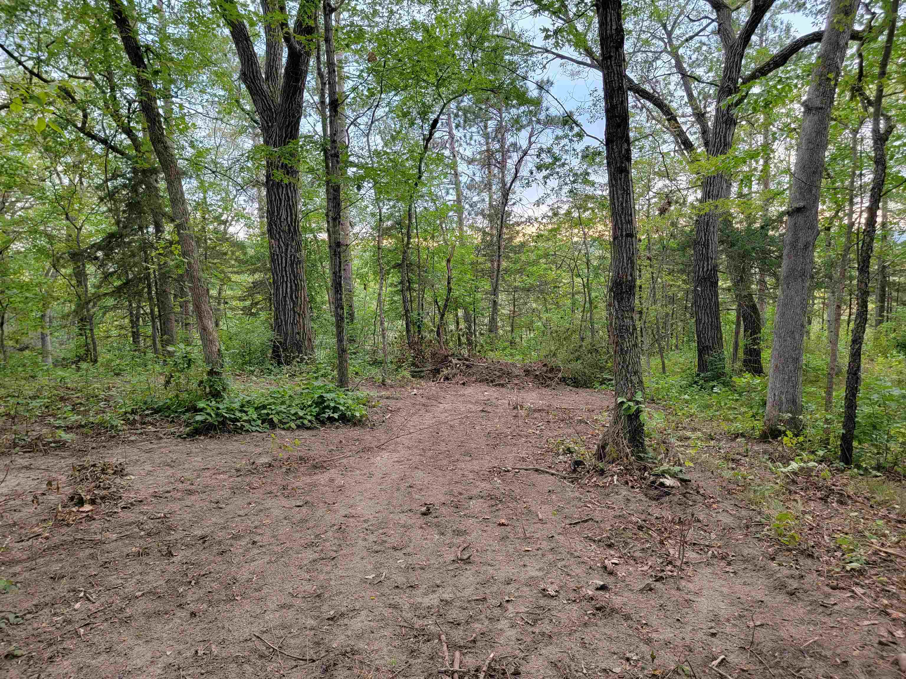 L9 St Lawrence Bluff Poynette, WI 53955 - Photo 13 of 37