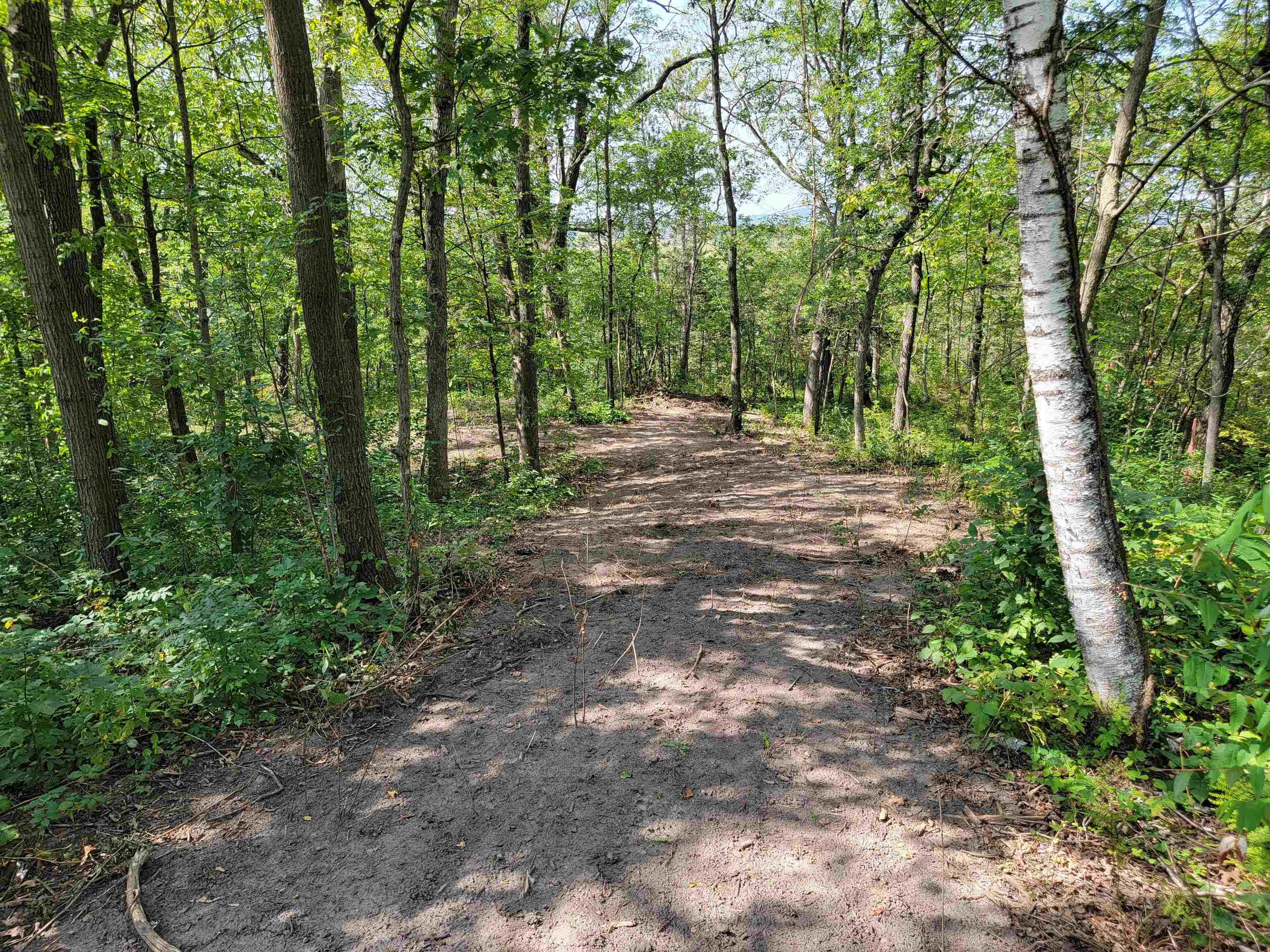 L9 St Lawrence Bluff Poynette, WI 53955 - Photo 14 of 37