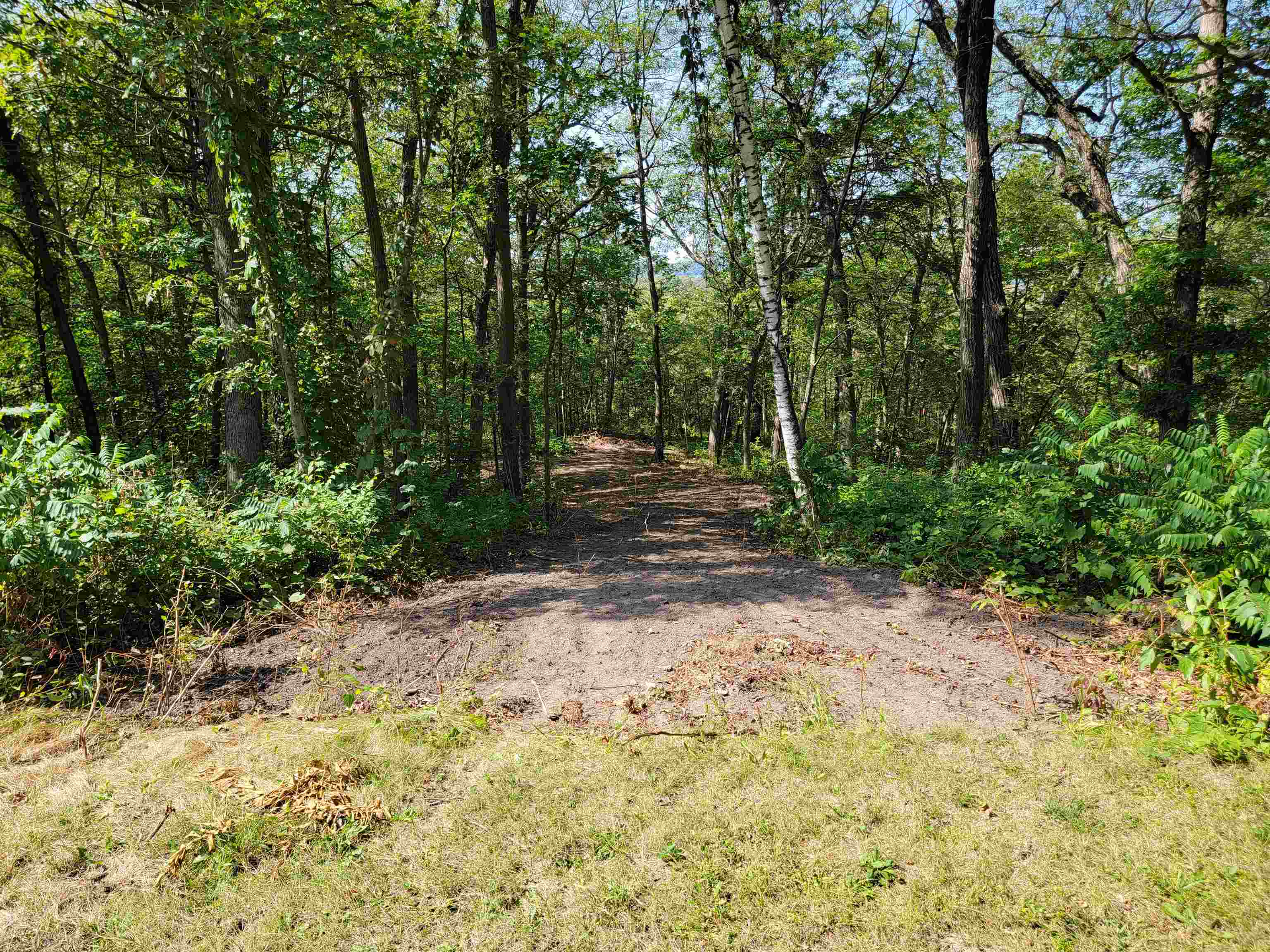 L9 St Lawrence Bluff Poynette, WI 53955 - Photo 15 of 37