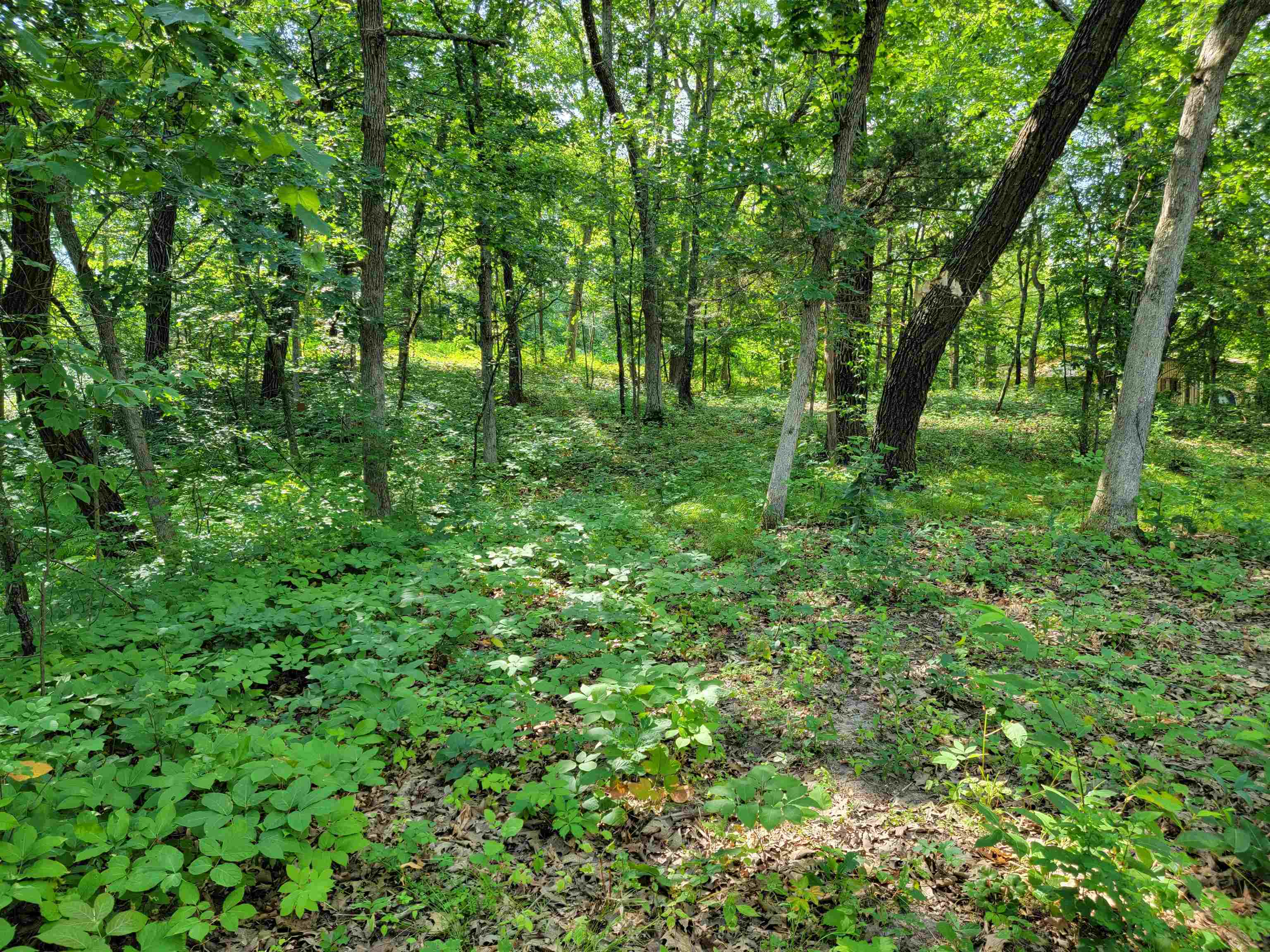 L9 St Lawrence Bluff Poynette, WI 53955 - Photo 18 of 37