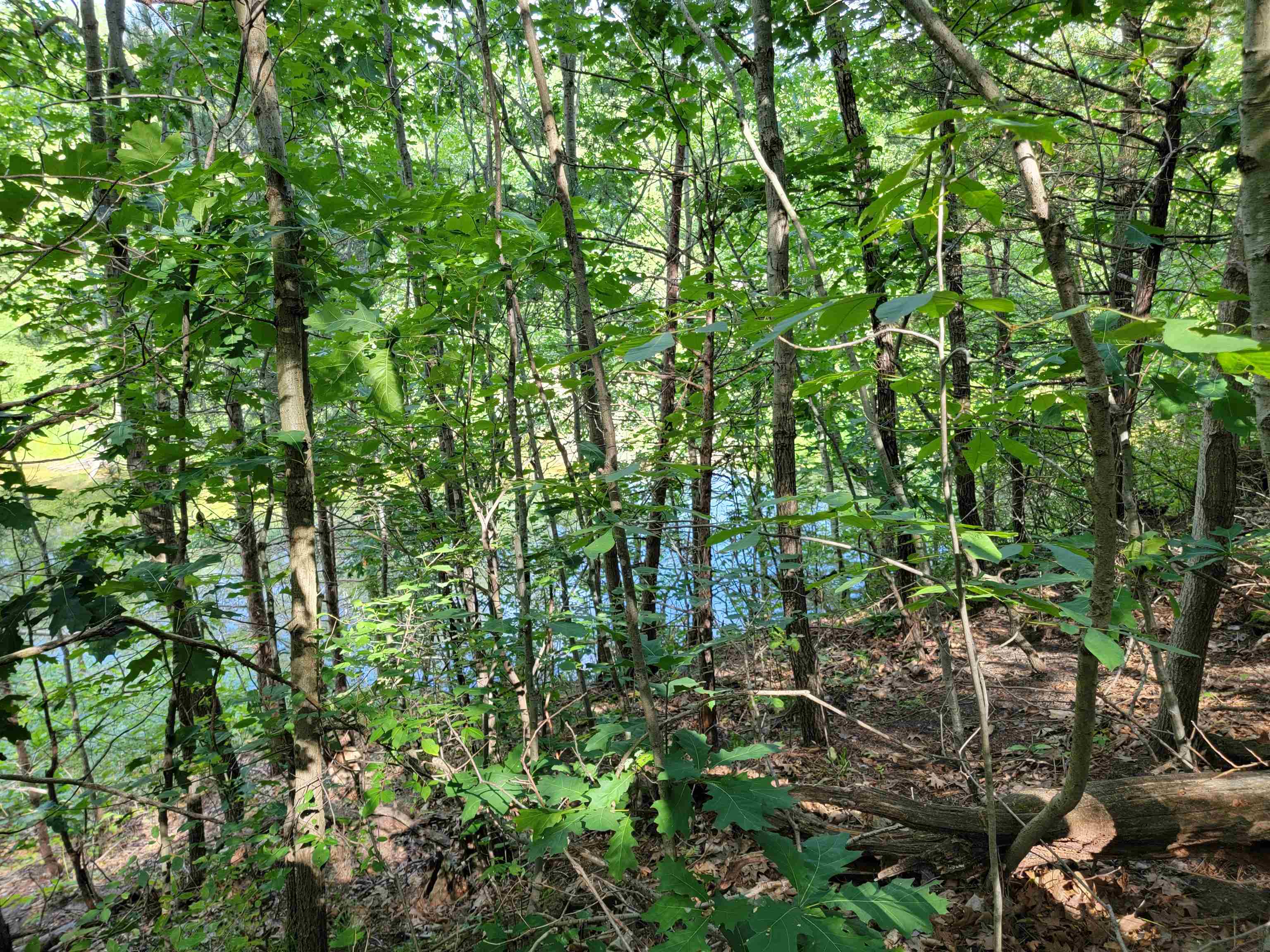 L9 St Lawrence Bluff Poynette, WI 53955 - Photo 19 of 37