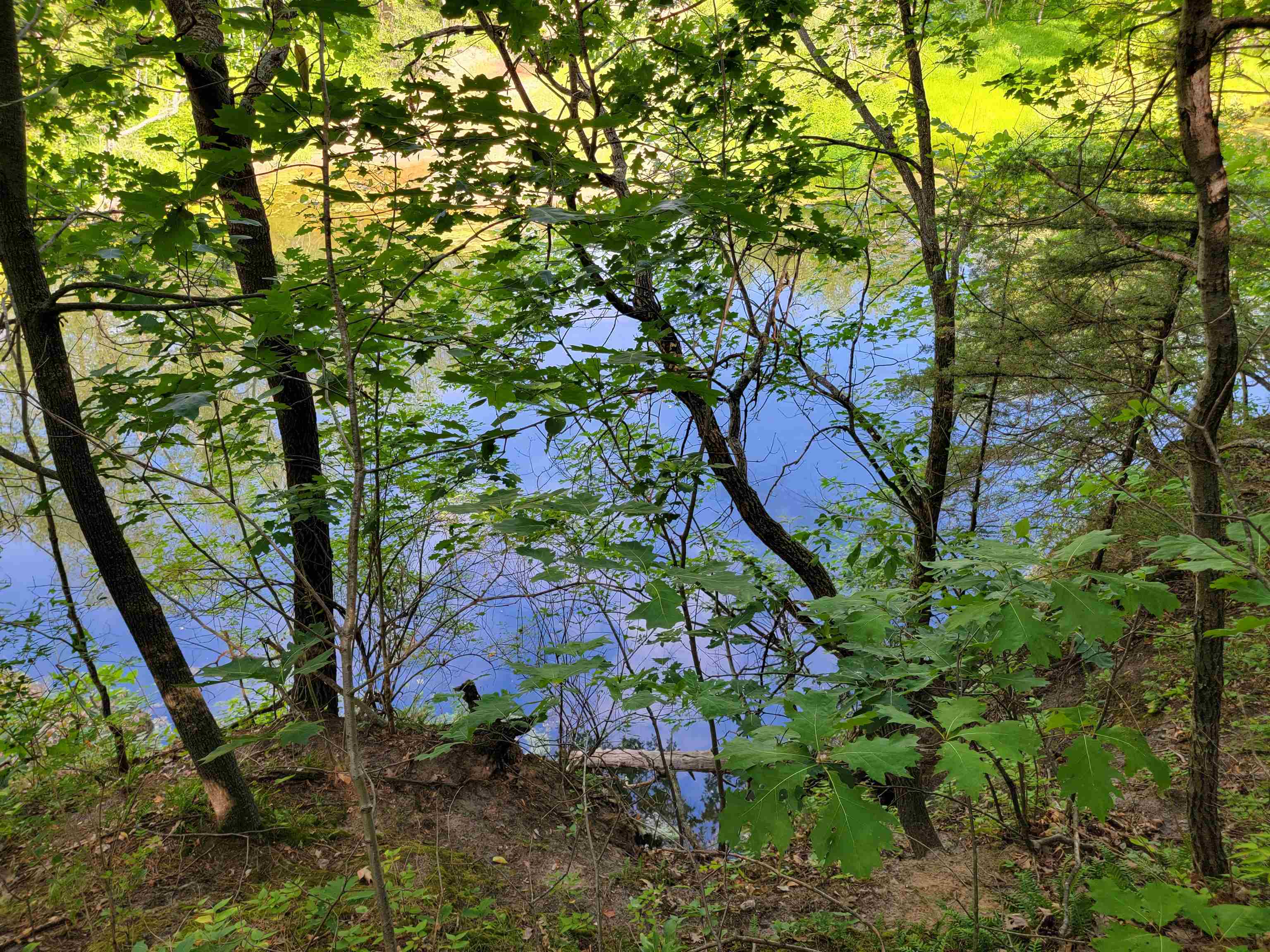 L9 St Lawrence Bluff Poynette, WI 53955 - Photo 21 of 37