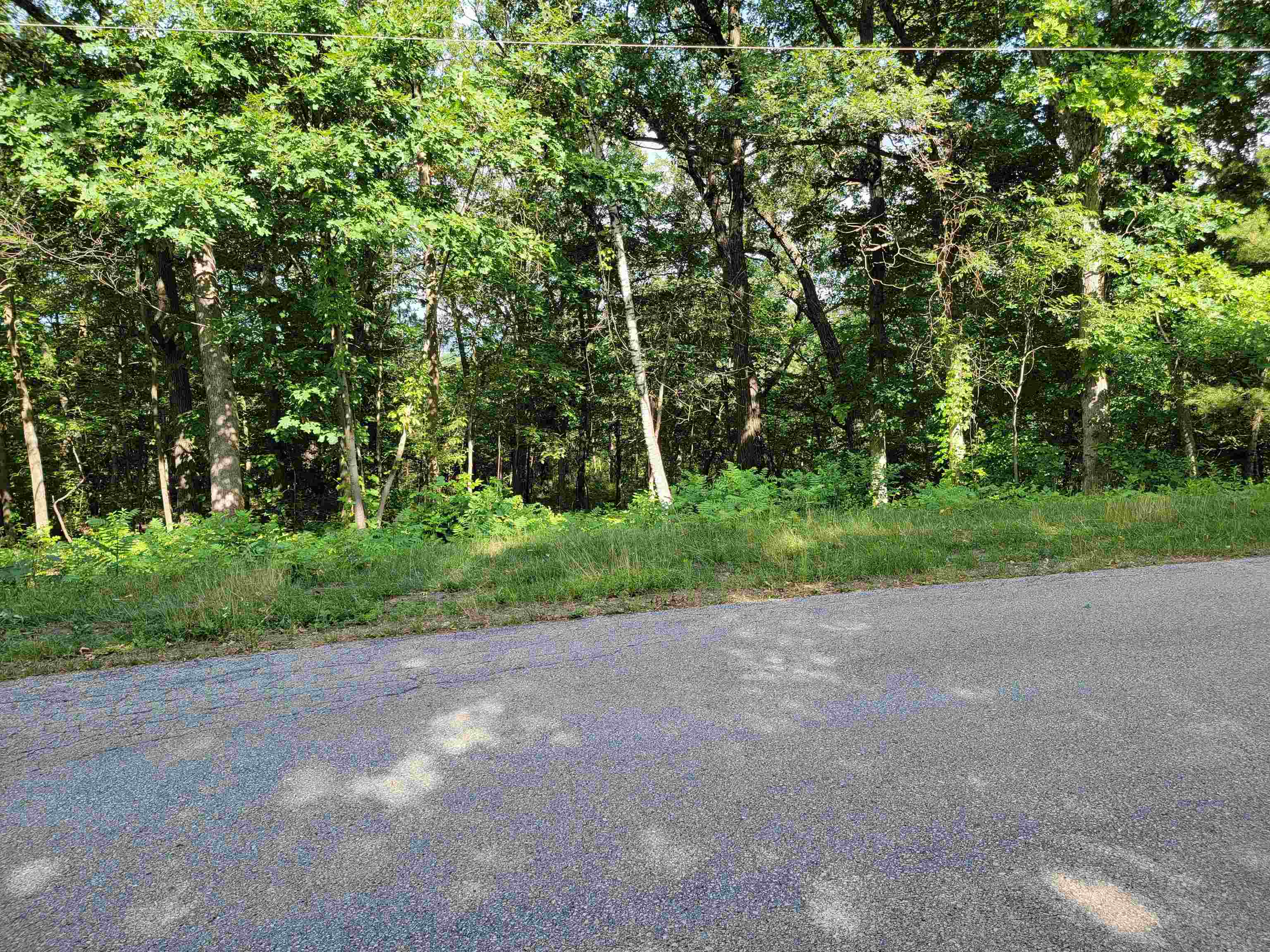 L9 St Lawrence Bluff Poynette, WI 53955 - Photo 22 of 37