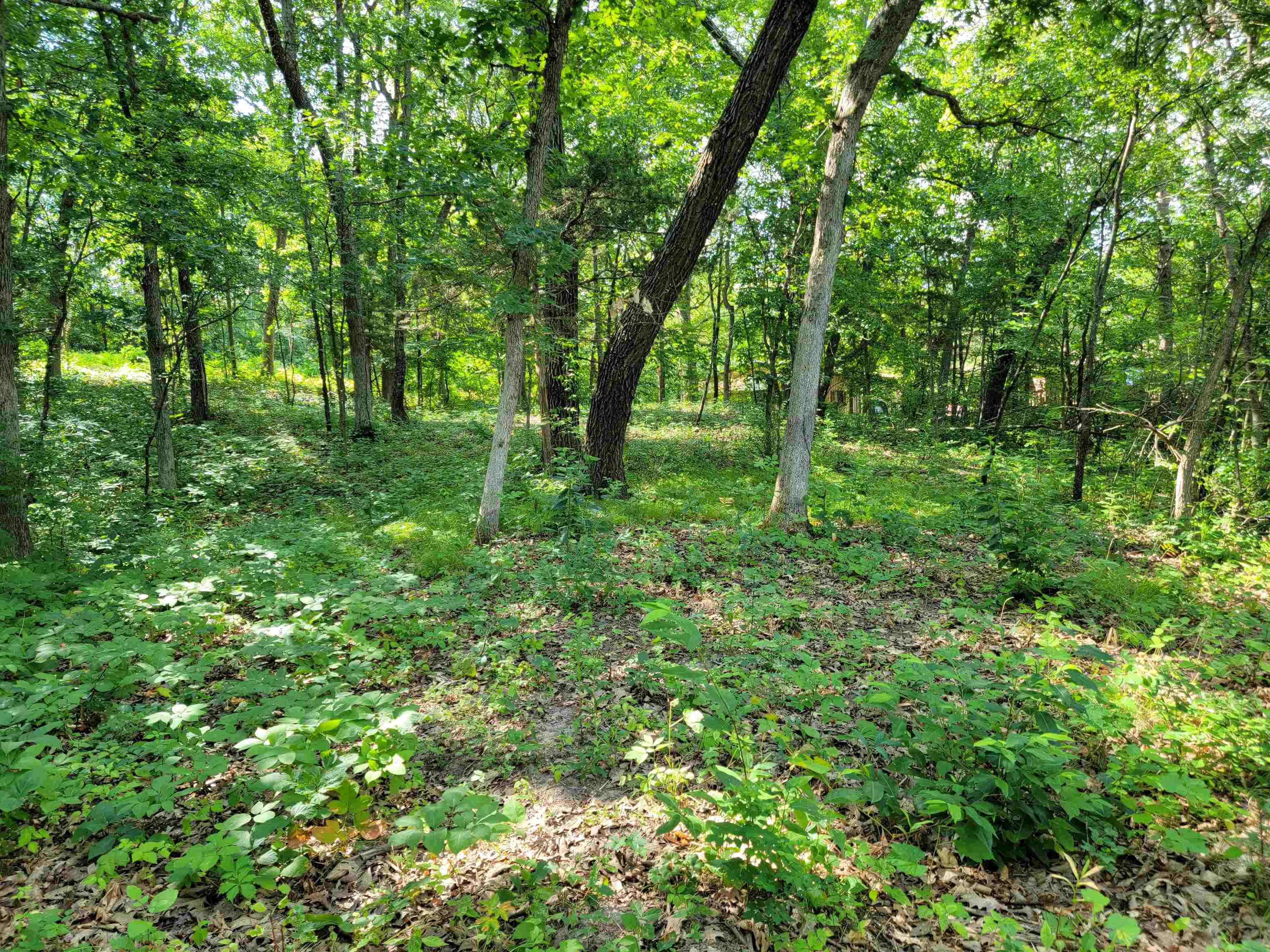 L9 St Lawrence Bluff Poynette, WI 53955 - Photo 23 of 37