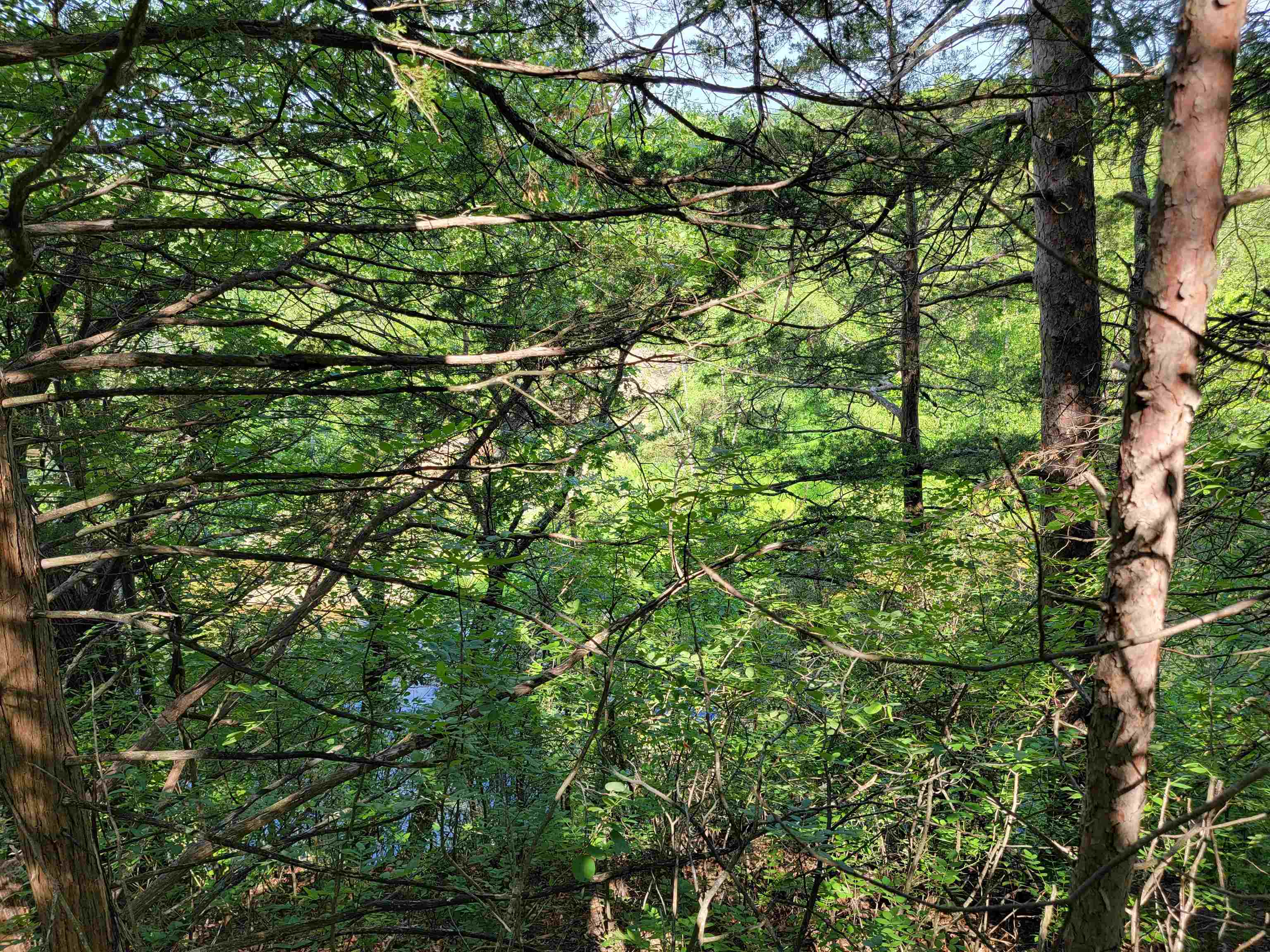 L9 St Lawrence Bluff Poynette, WI 53955 - Photo 24 of 37