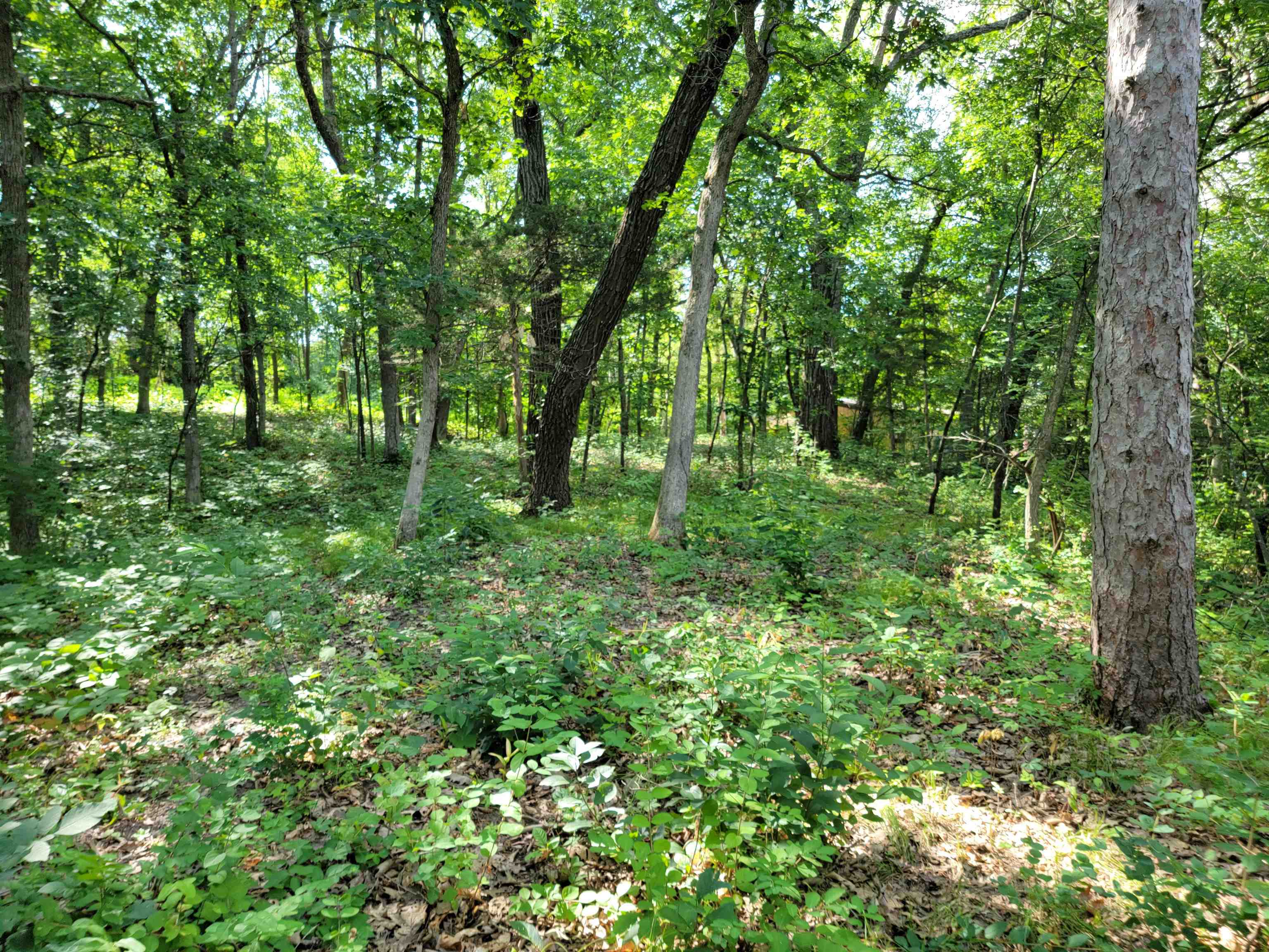 L9 St Lawrence Bluff Poynette, WI 53955 - Photo 25 of 37