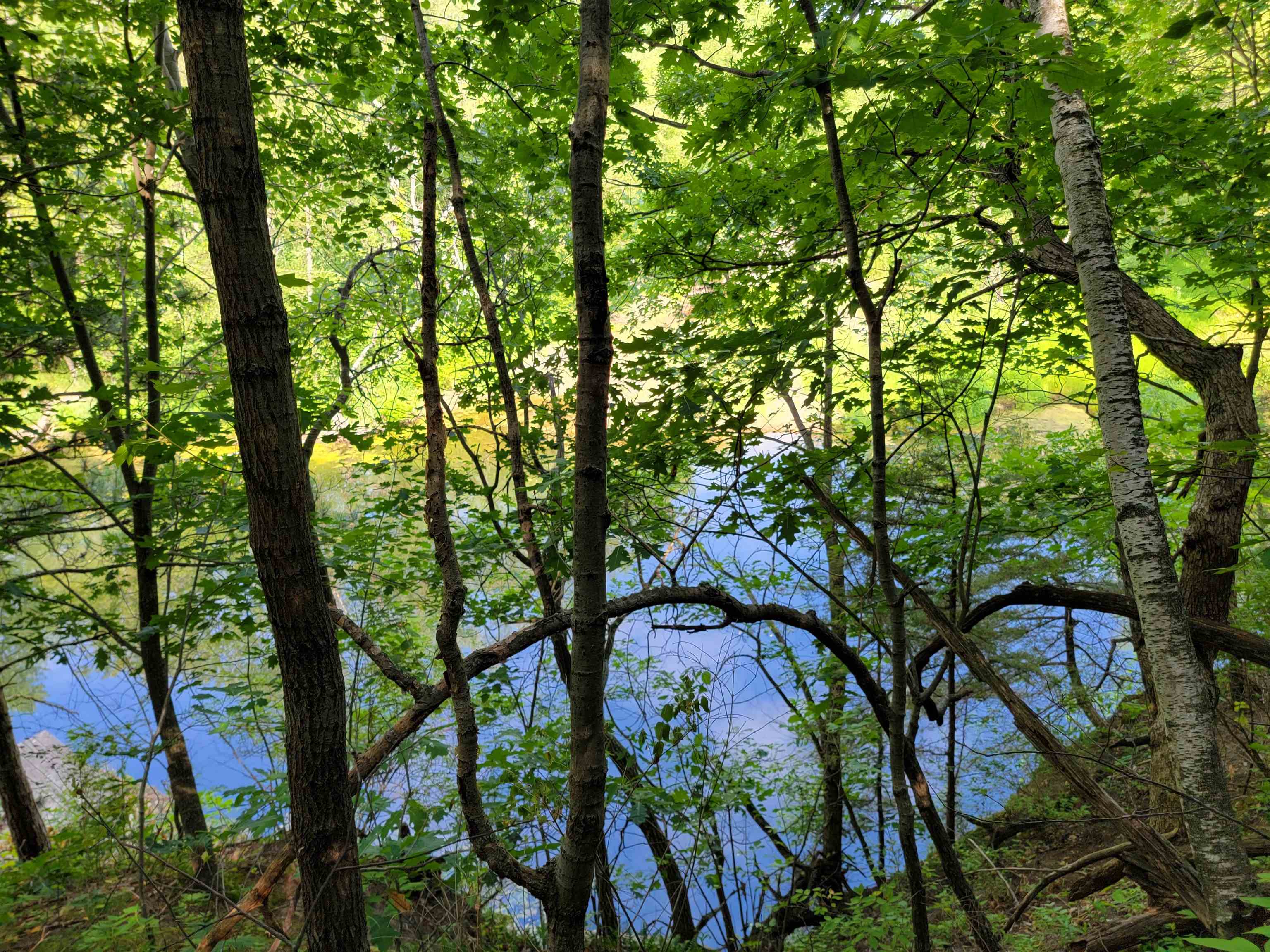 L9 St Lawrence Bluff Poynette, WI 53955 - Photo 26 of 37