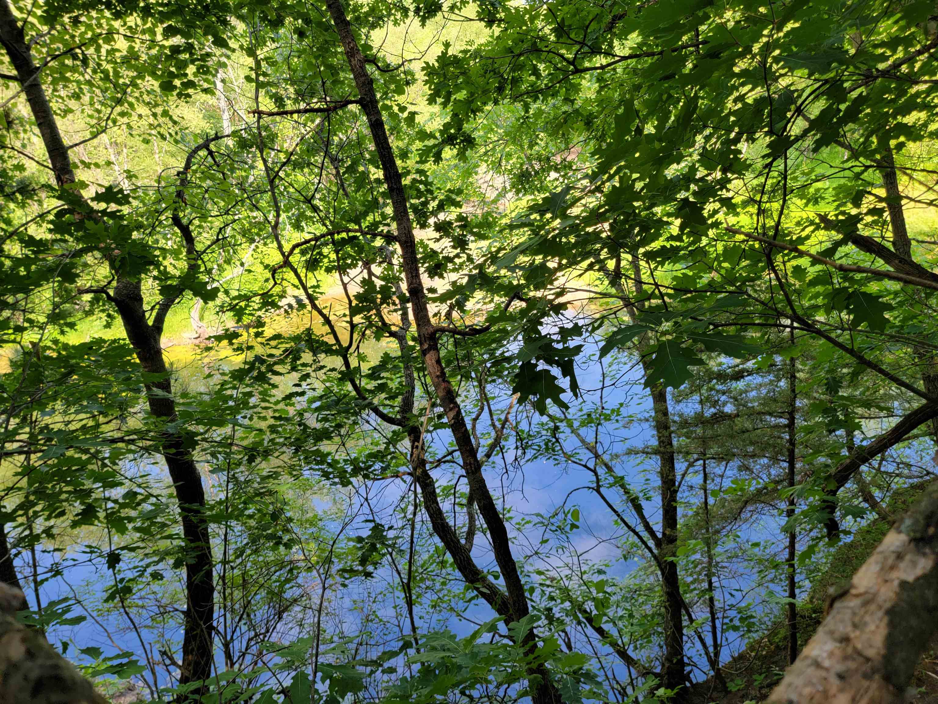 L9 St Lawrence Bluff Poynette, WI 53955 - Photo 27 of 37