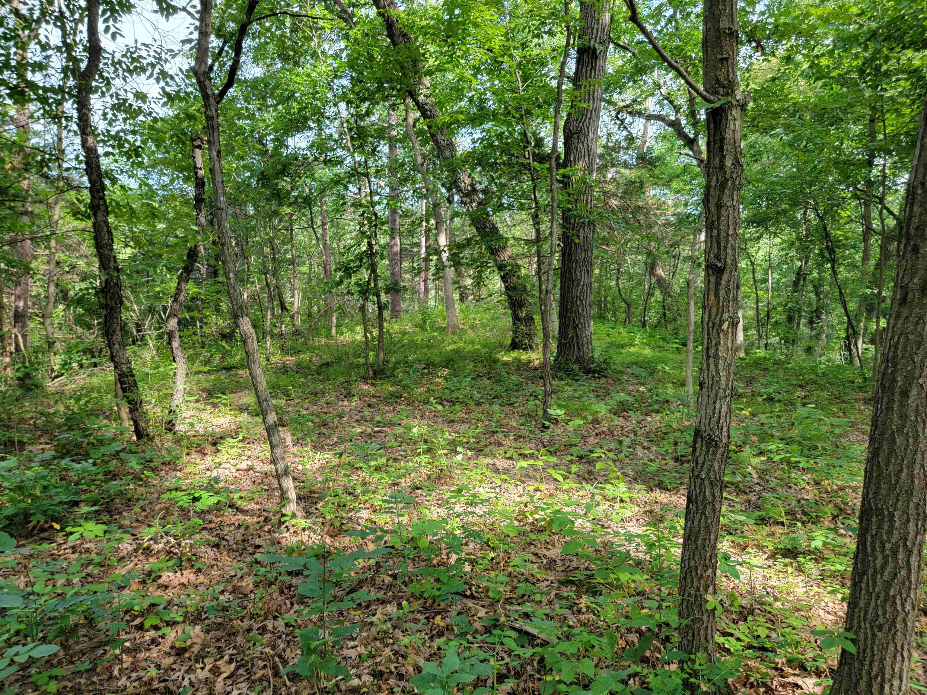 L9 St Lawrence Bluff Poynette, WI 53955 - Photo 28 of 37