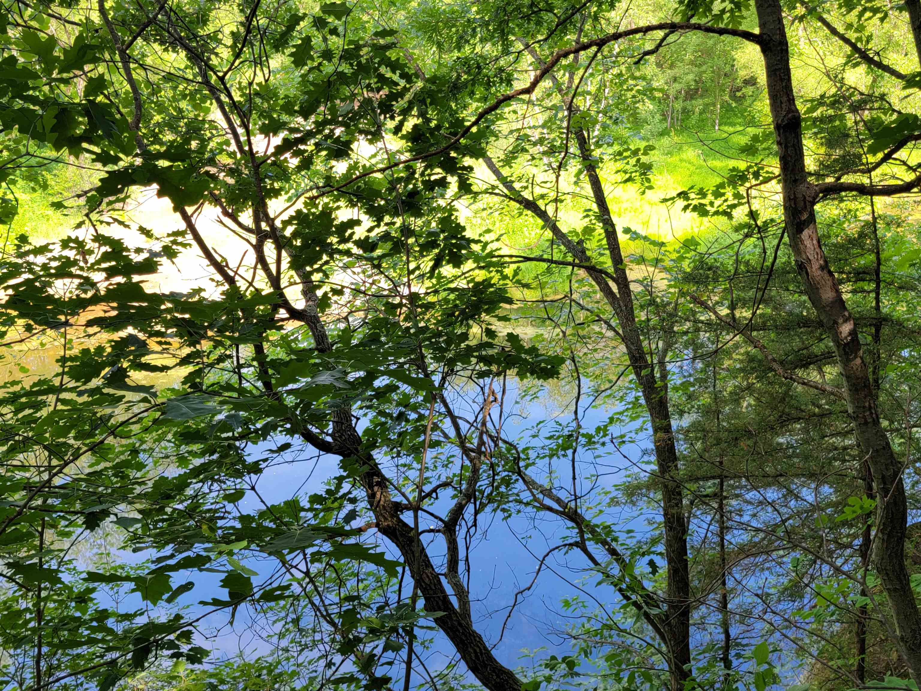 L9 St Lawrence Bluff Poynette, WI 53955 - Photo 29 of 37