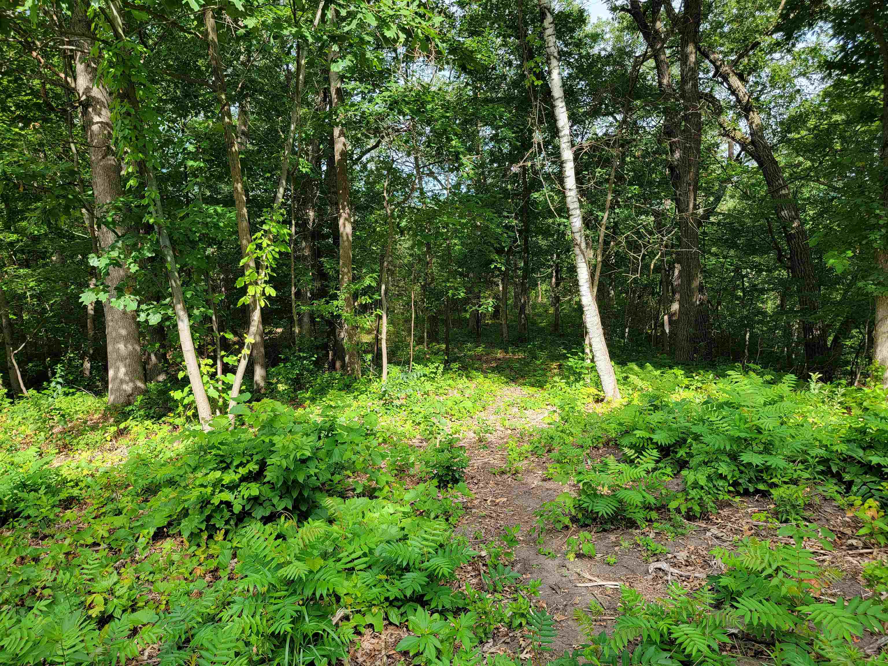 L9 St Lawrence Bluff Poynette, WI 53955 - Photo 30 of 37