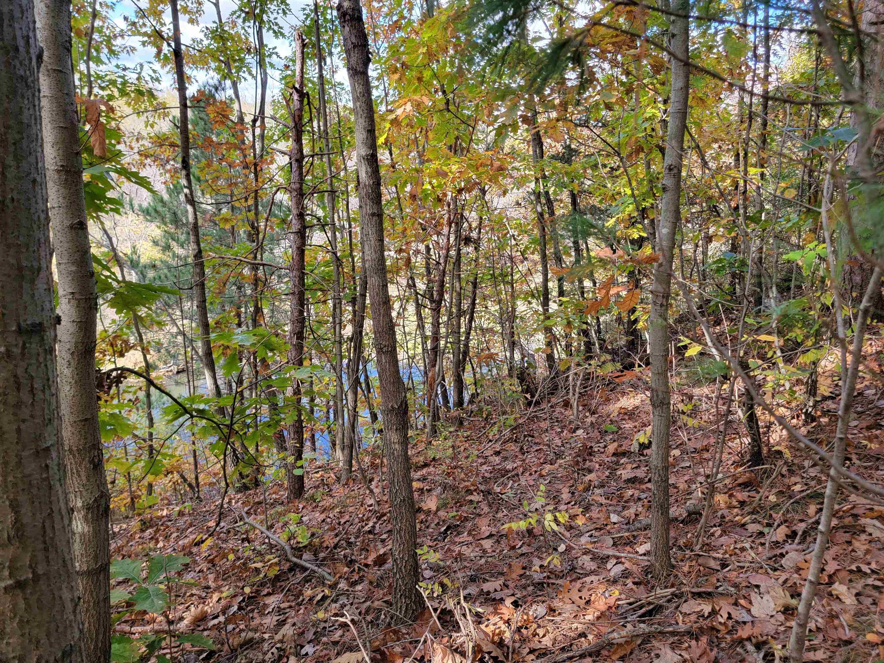 L9 St Lawrence Bluff Poynette, WI 53955 - Photo 3 of 37