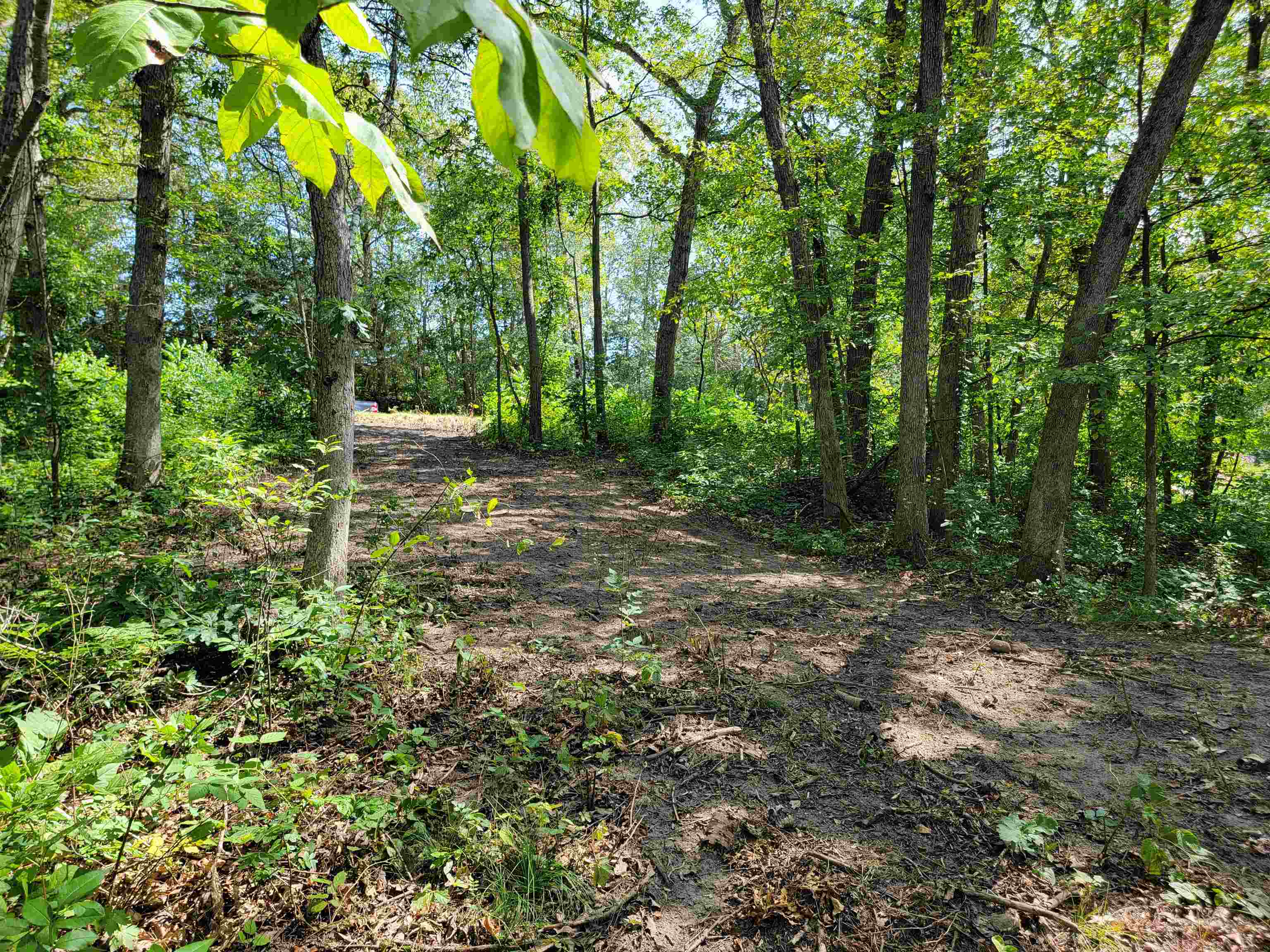 L9 St Lawrence Bluff Poynette, WI 53955 - Photo 34 of 37