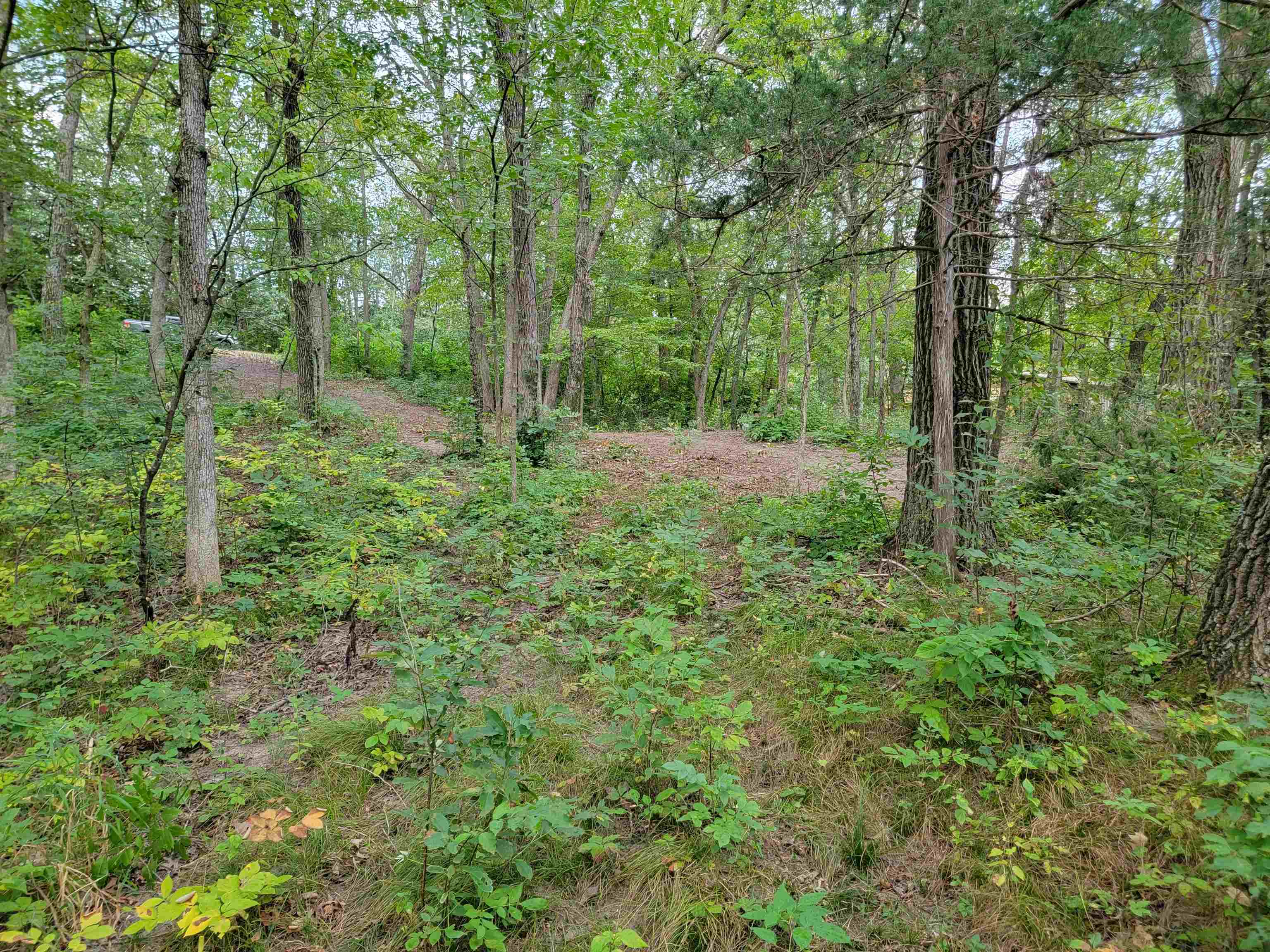 L9 St Lawrence Bluff Poynette, WI 53955 - Photo 36 of 37