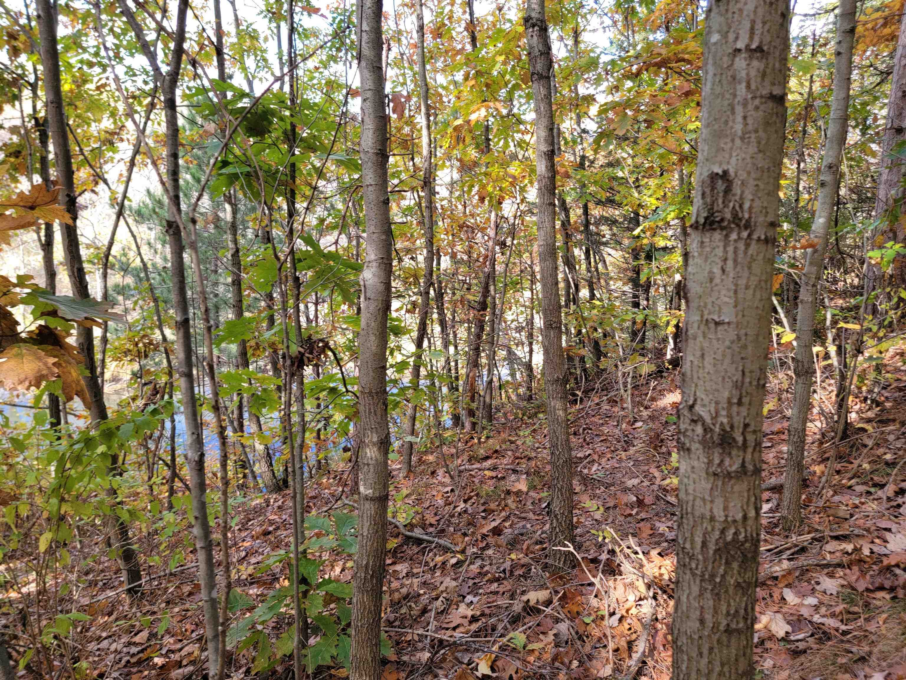 L9 St Lawrence Bluff Poynette, WI 53955 - Photo 37 of 37