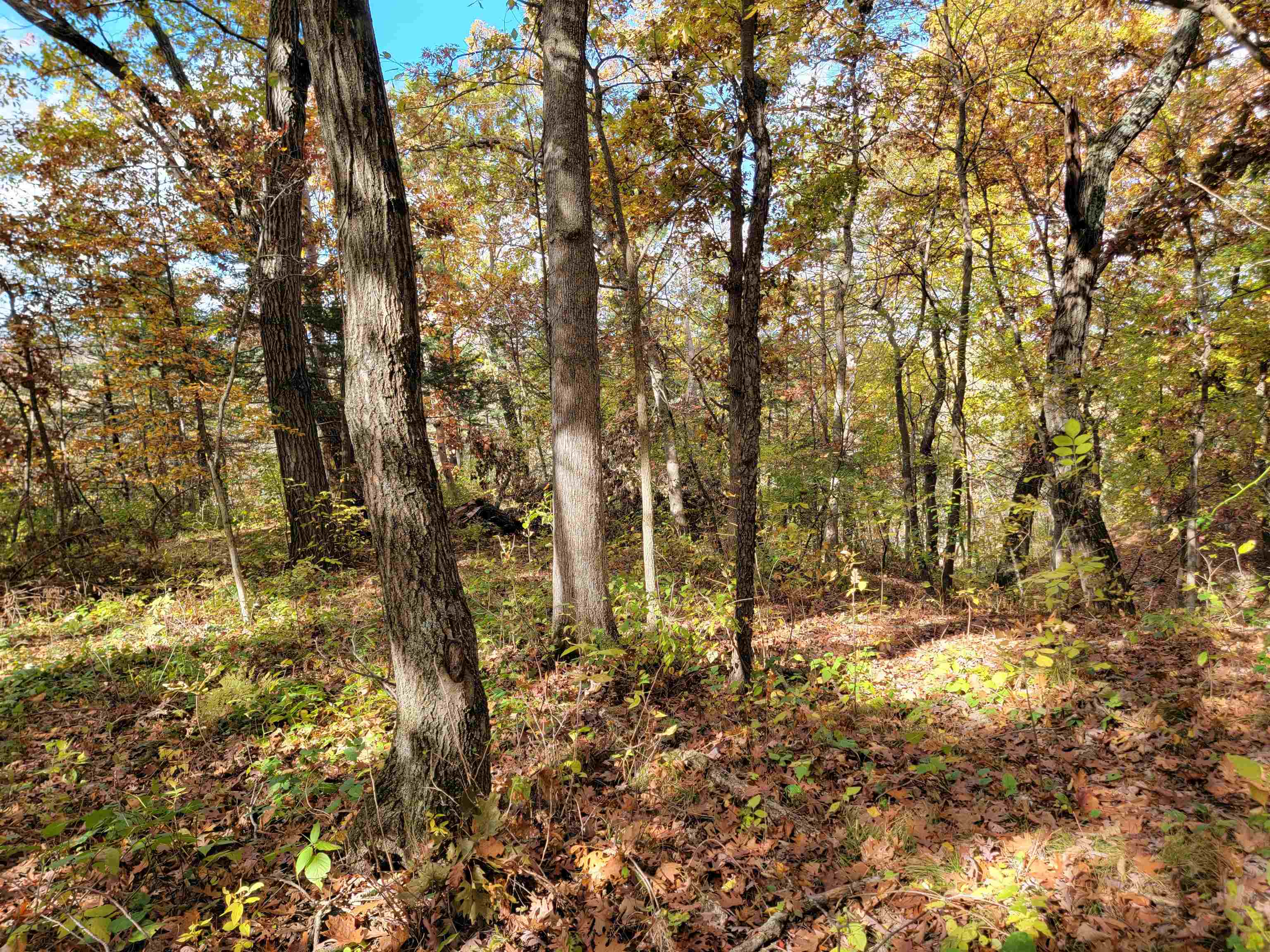 L9 St Lawrence Bluff Poynette, WI 53955 - Photo 4 of 37