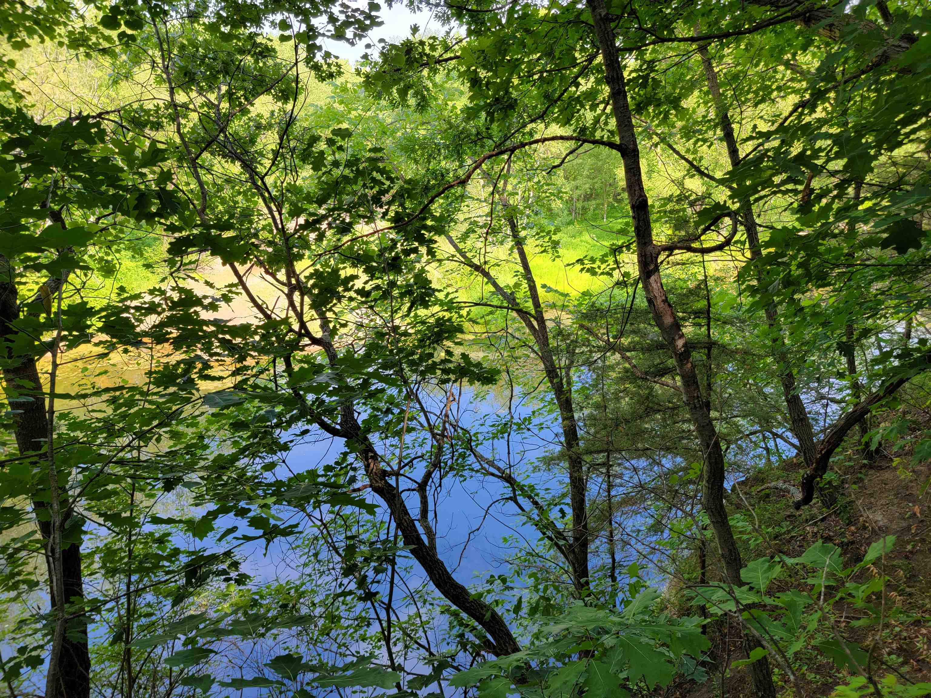 L9 St Lawrence Bluff Poynette, WI 53955 - Photo 5 of 37