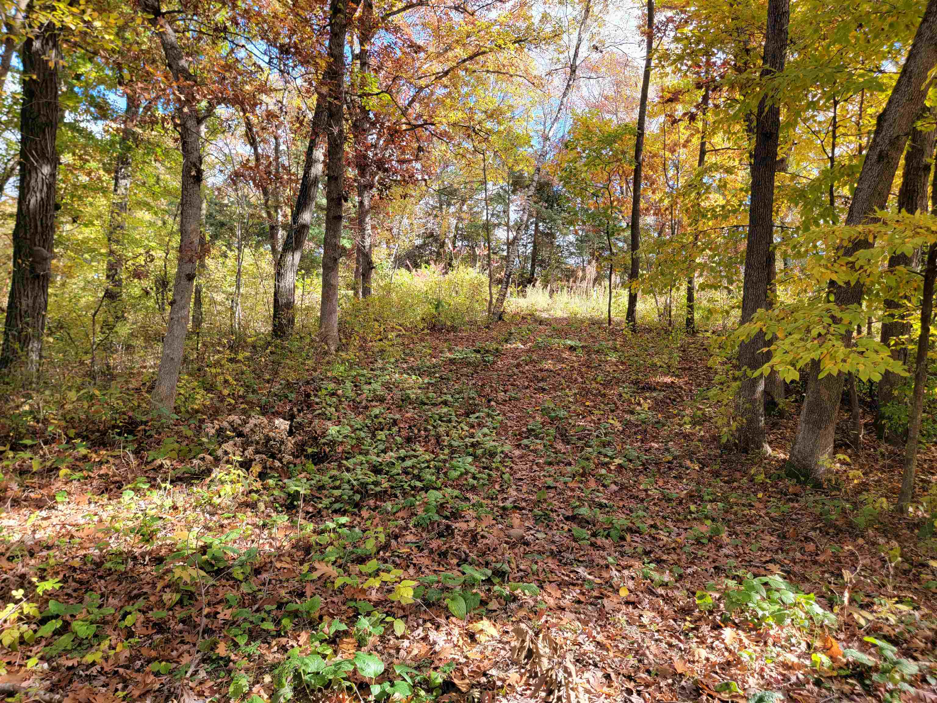 L9 St Lawrence Bluff Poynette, WI 53955 - Photo 6 of 37