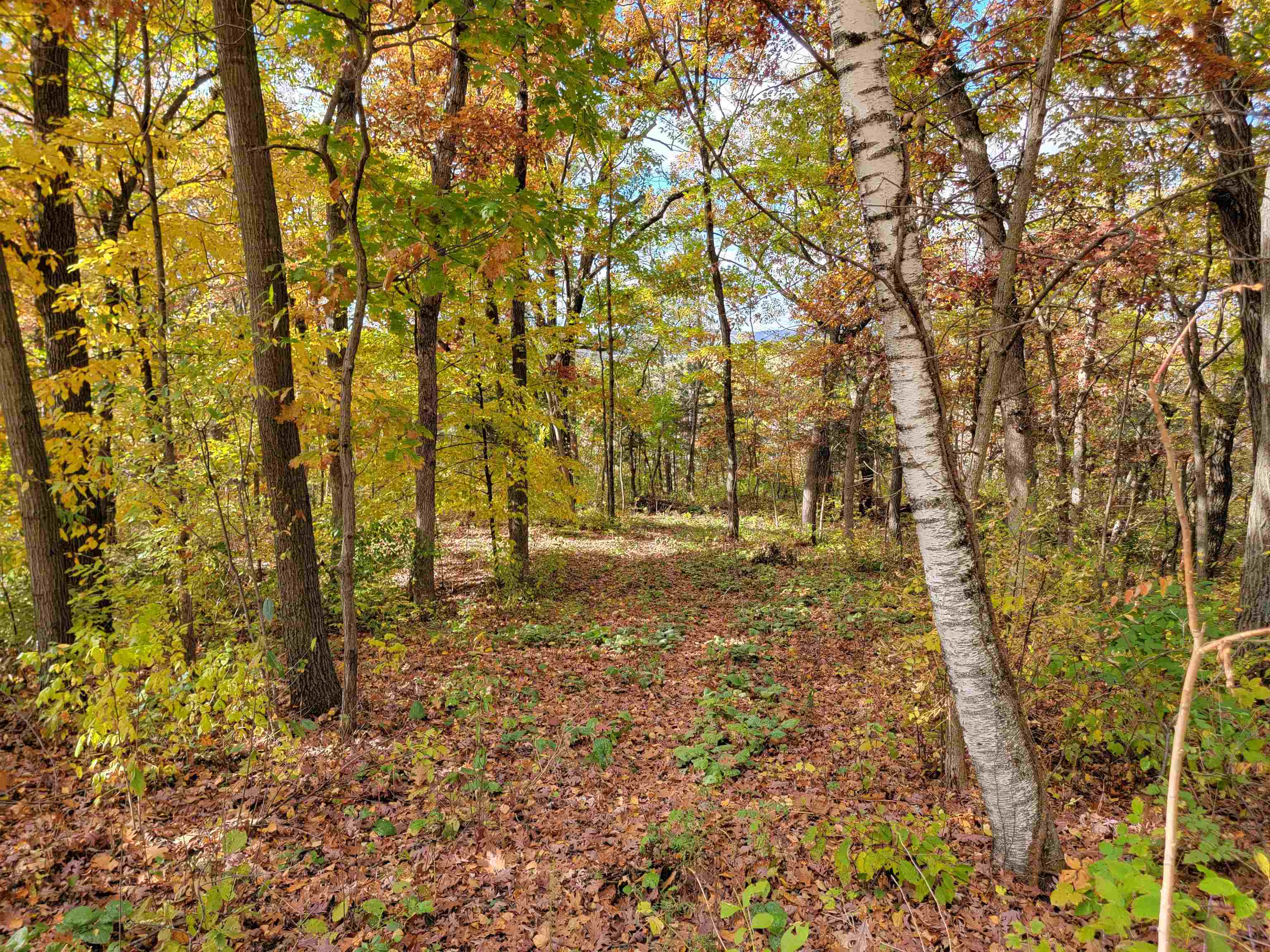 L9 St Lawrence Bluff Poynette, WI 53955 - Photo 7 of 37