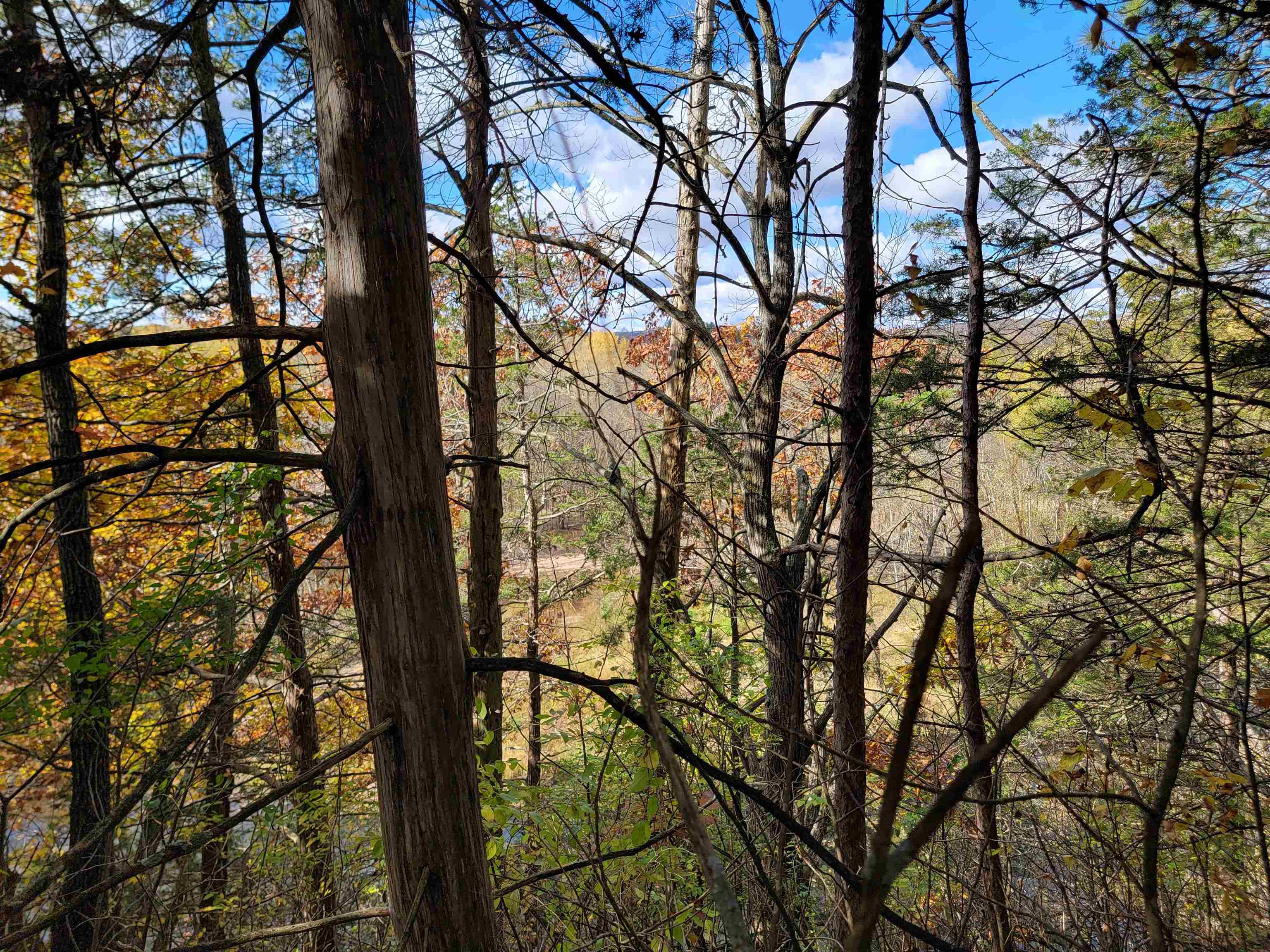 L9 St Lawrence Bluff Poynette, WI 53955 - Photo 9 of 37