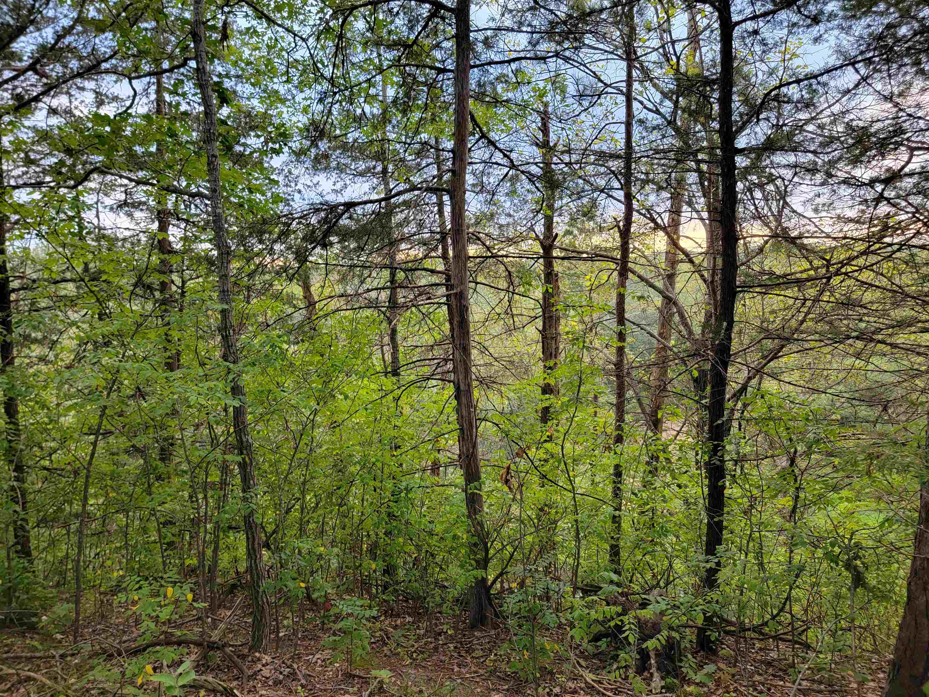 L9 St Lawrence Bluff Poynette, WI 53955 - Photo 10 of 37